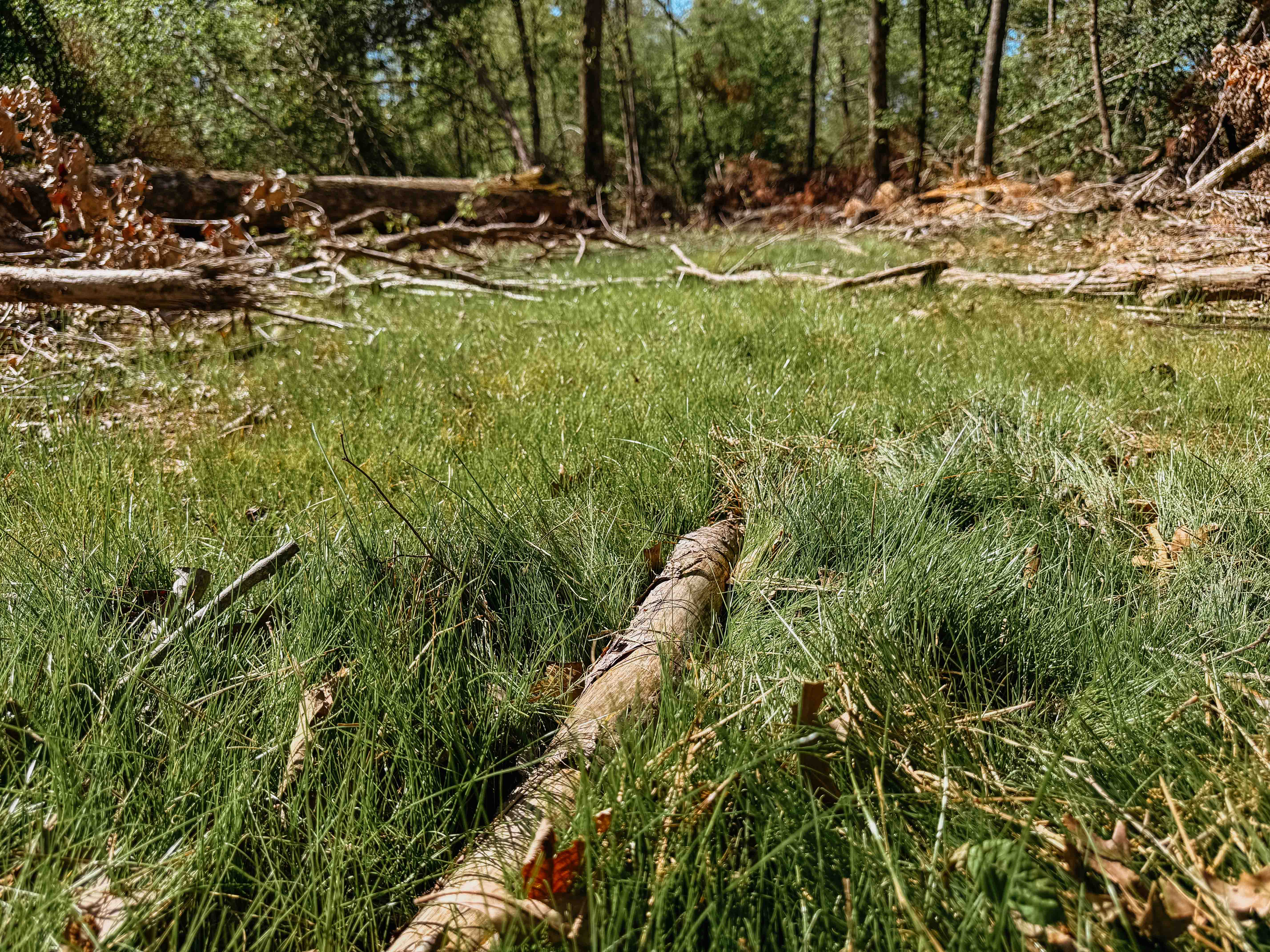 Fordyce, AR 71742 - image 30