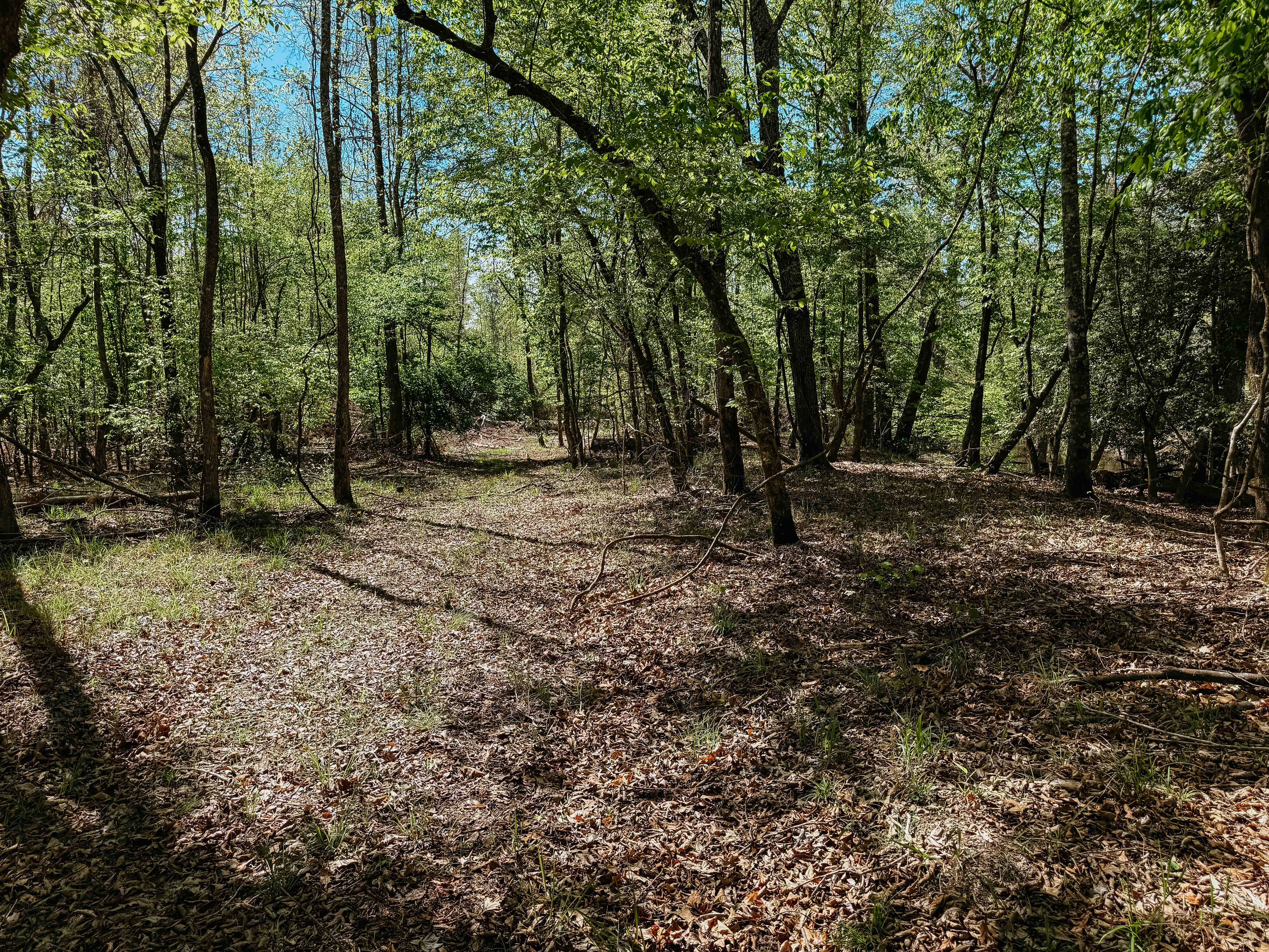 Fordyce, AR 71742 - image 31