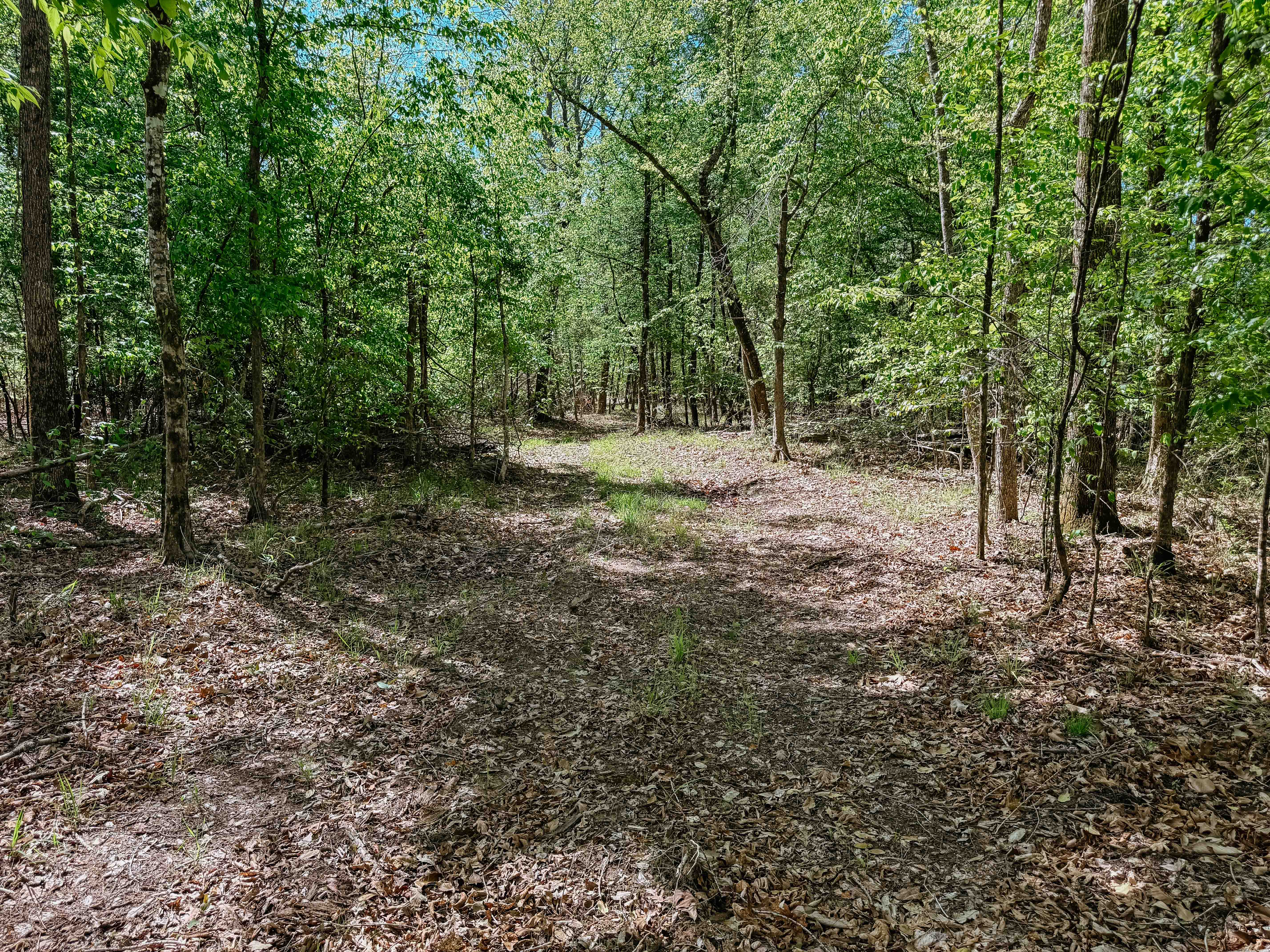 Fordyce, AR 71742 - image 32