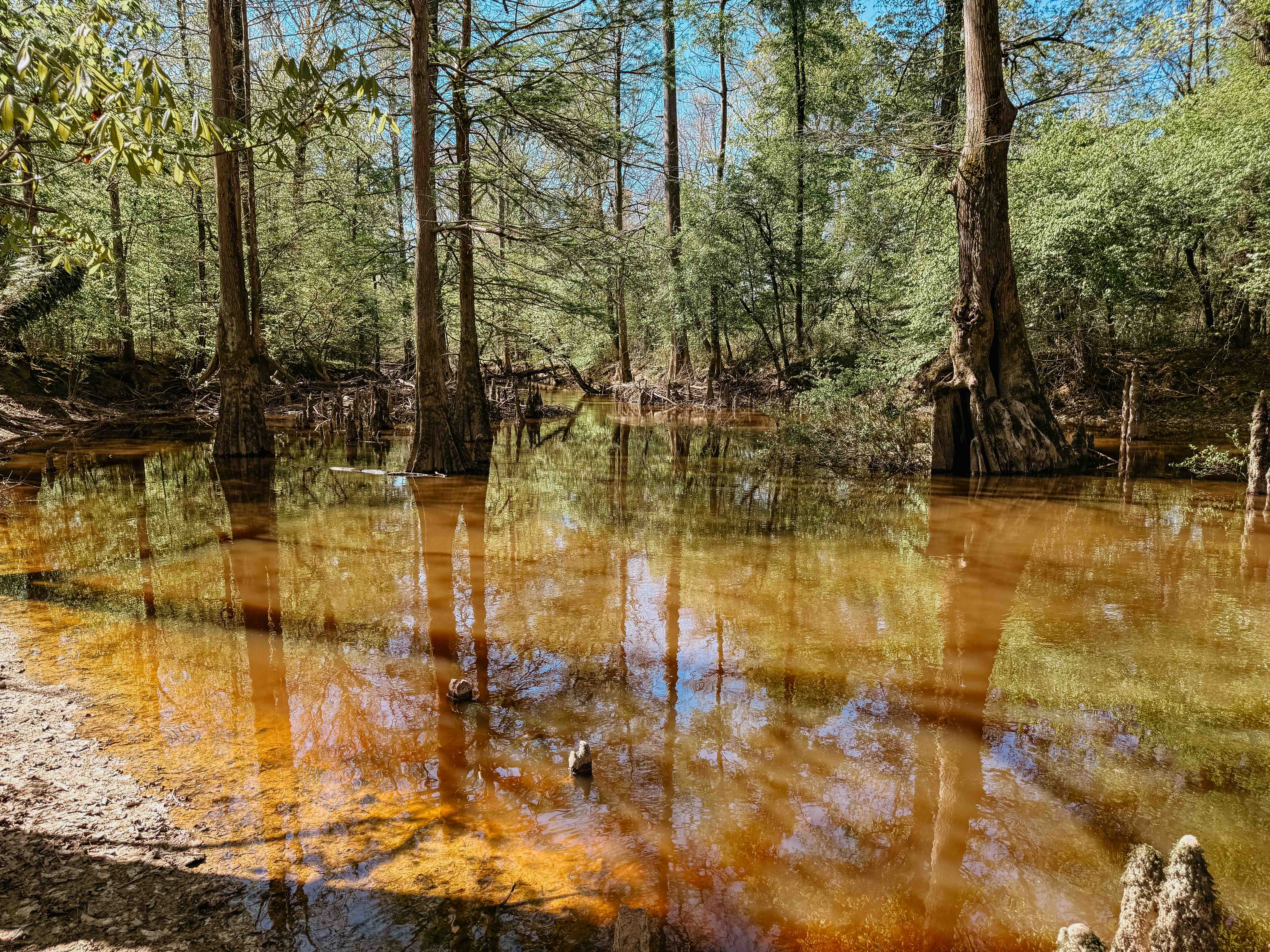 Fordyce, AR 71742 - image 34