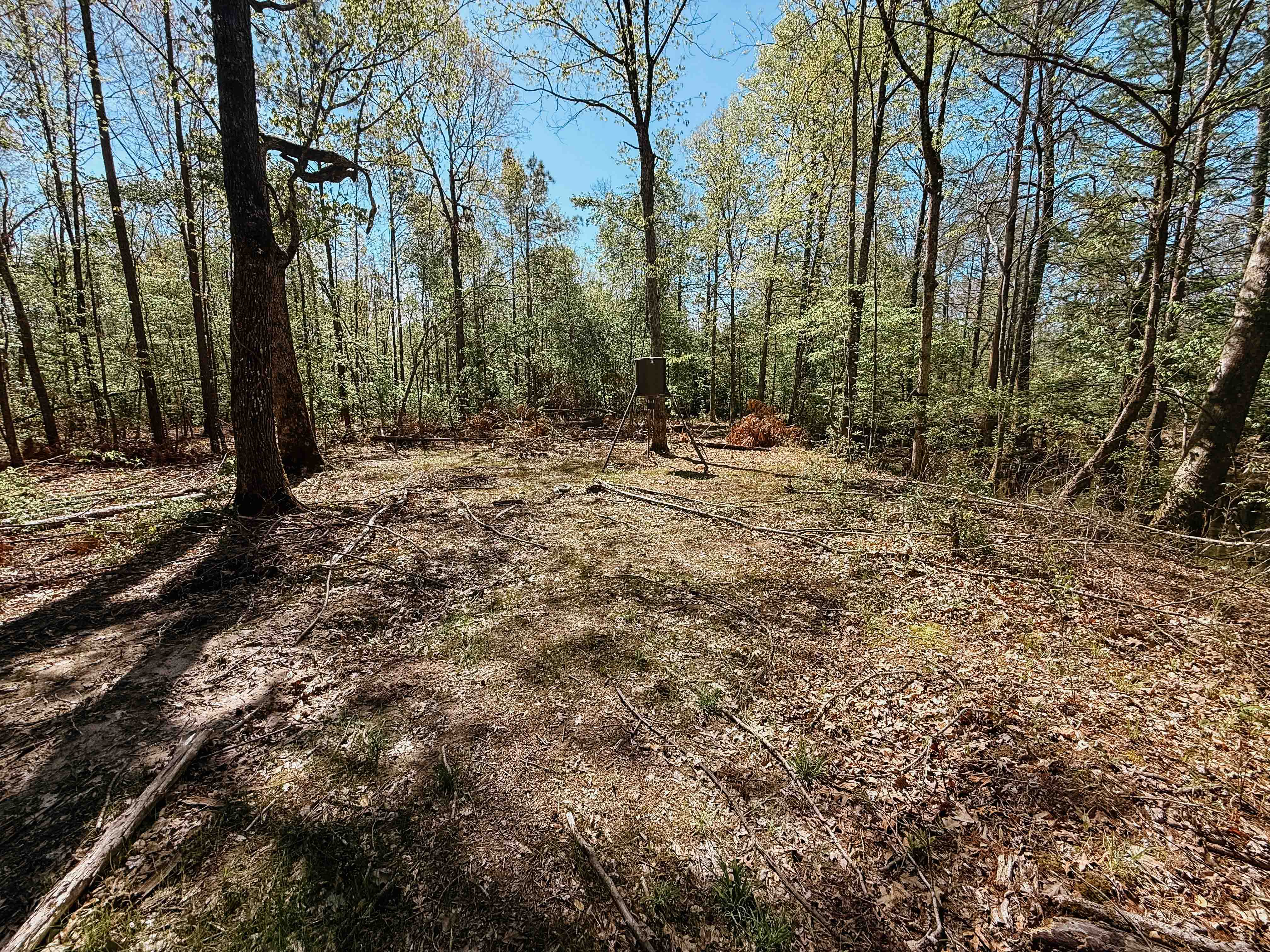 Fordyce, AR 71742 - image 36