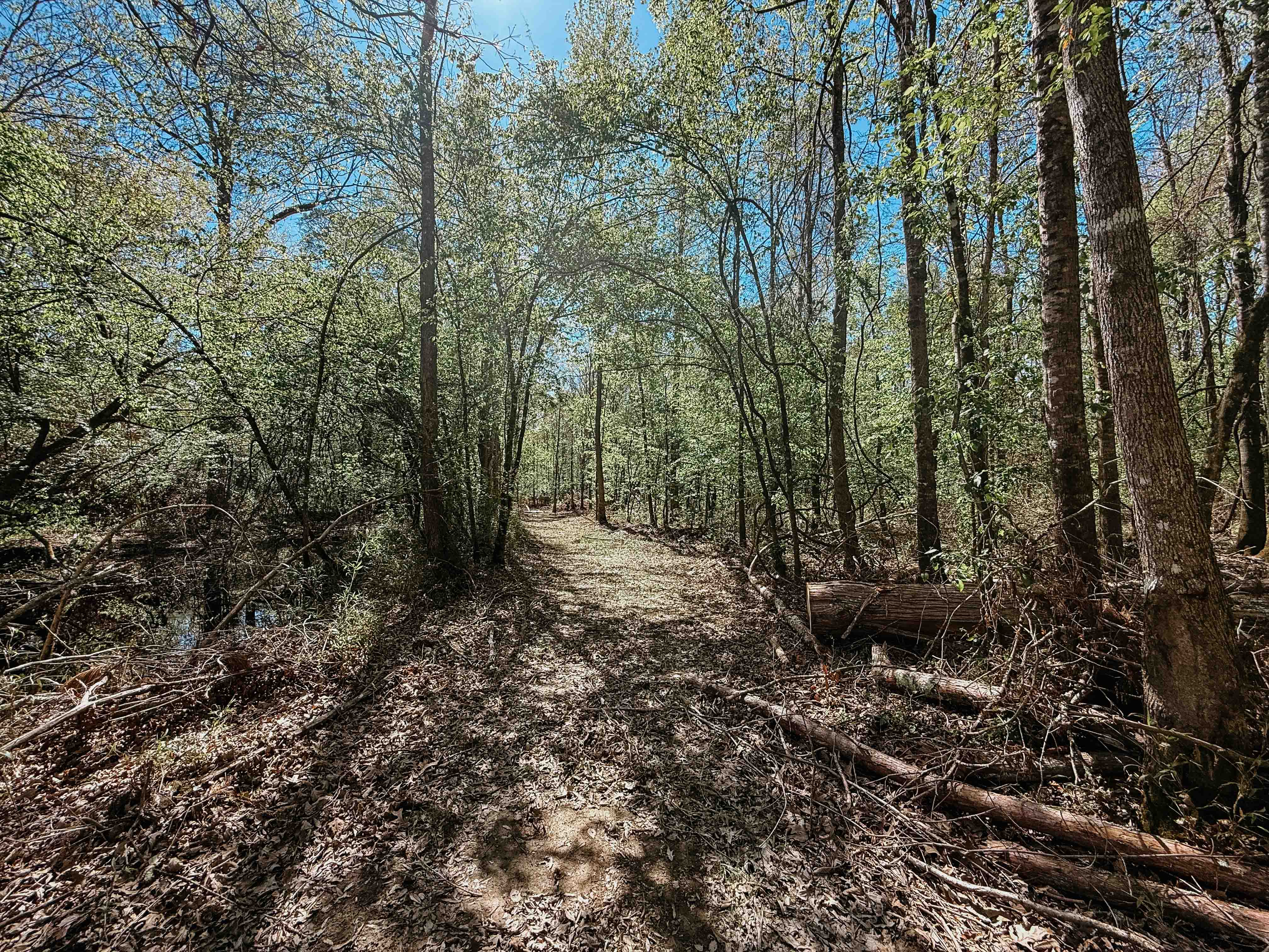 Fordyce, AR 71742 - image 39