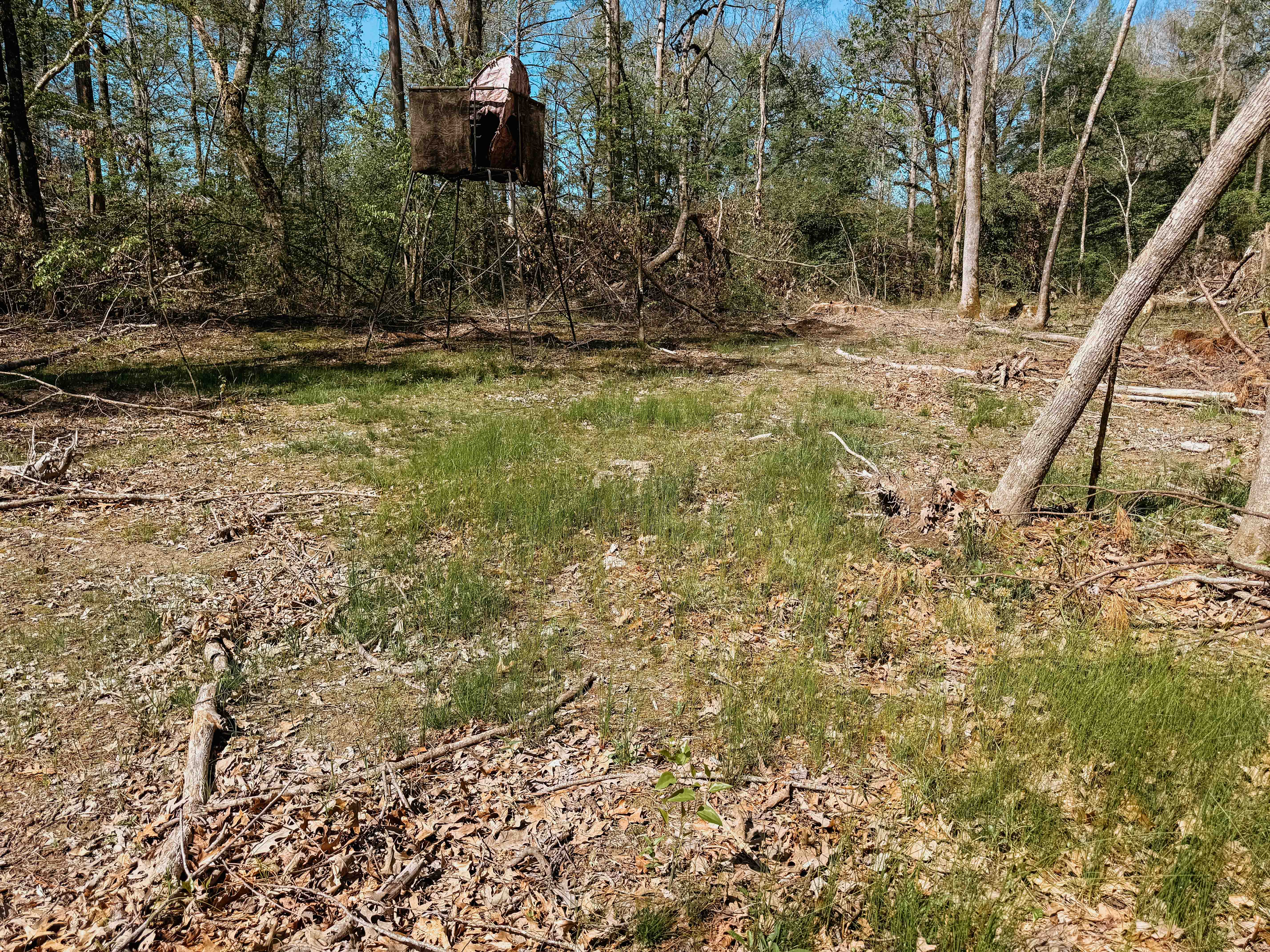 Fordyce, AR 71742 - image 38