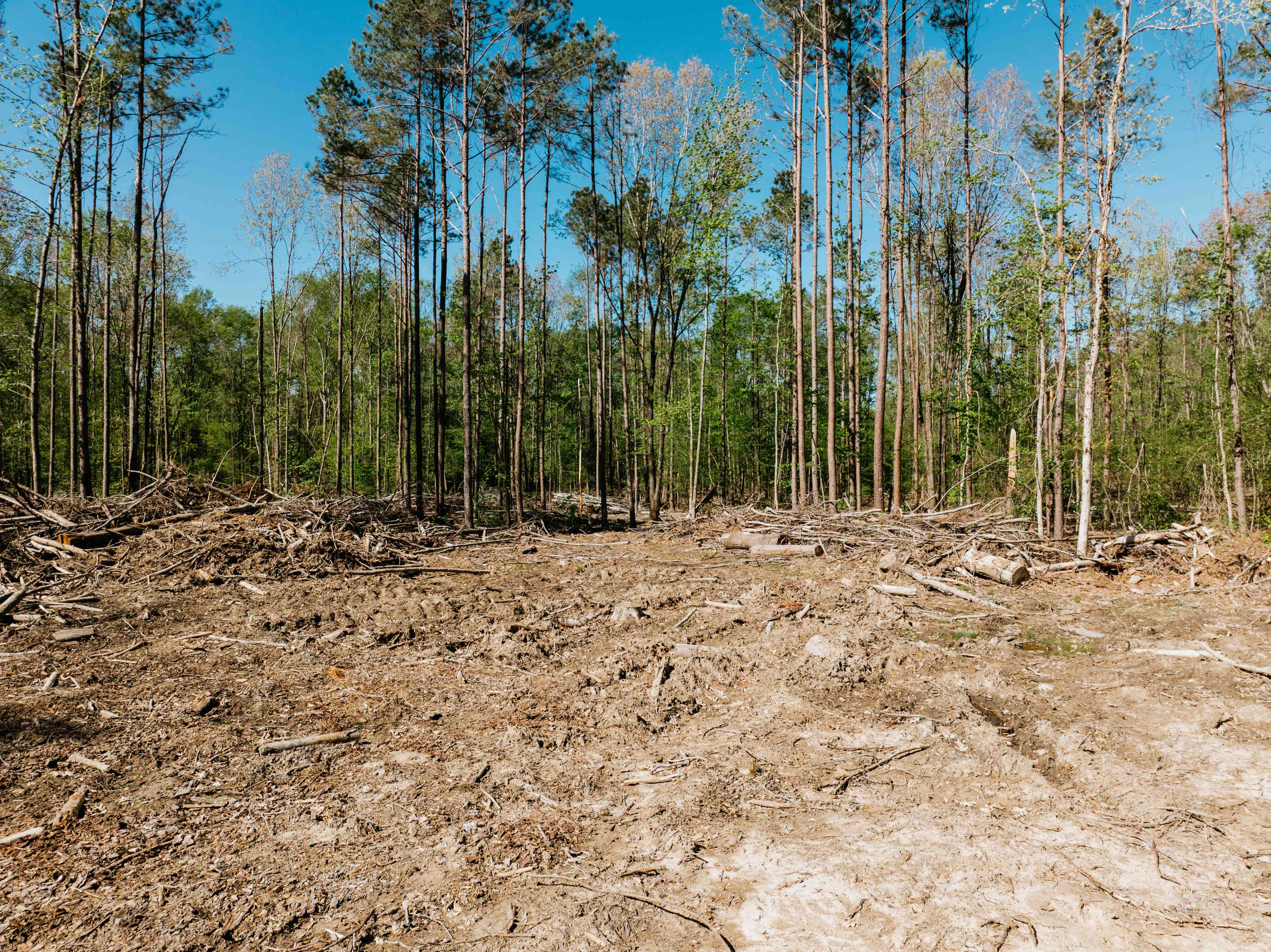 Fordyce, AR 71742 - image 17