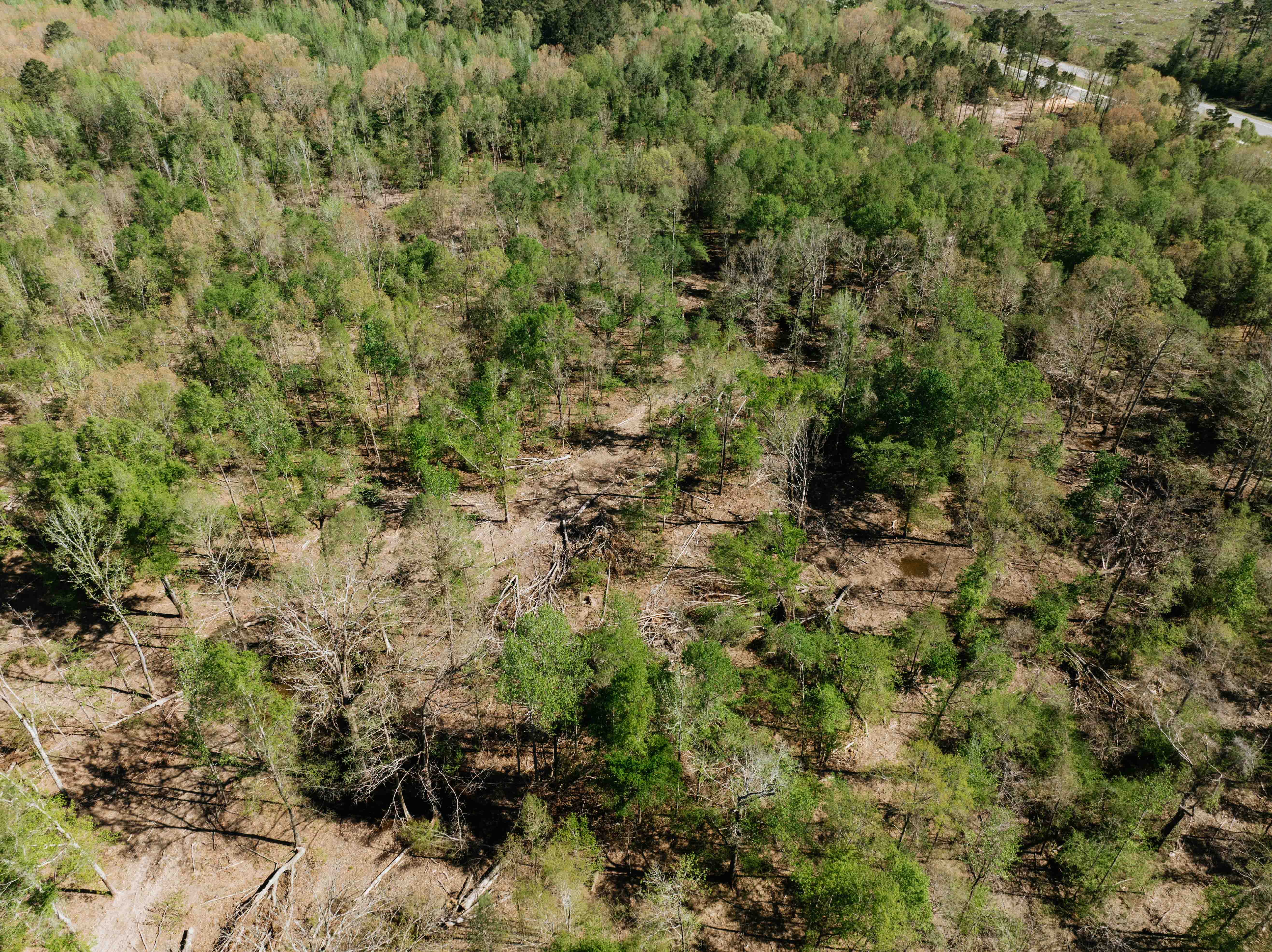 Fordyce, AR 71742 - image 14