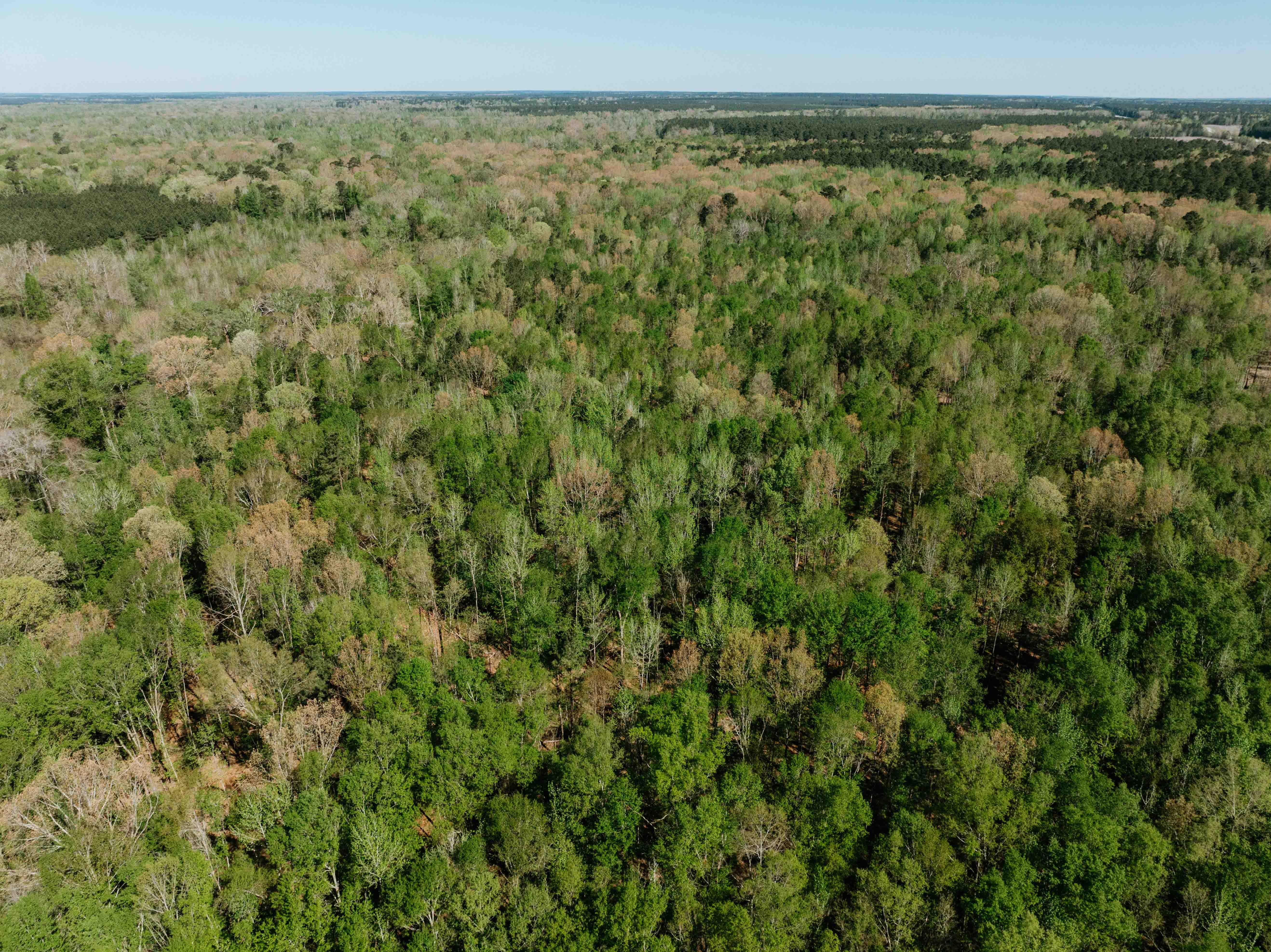 Fordyce, AR 71742 - image 13