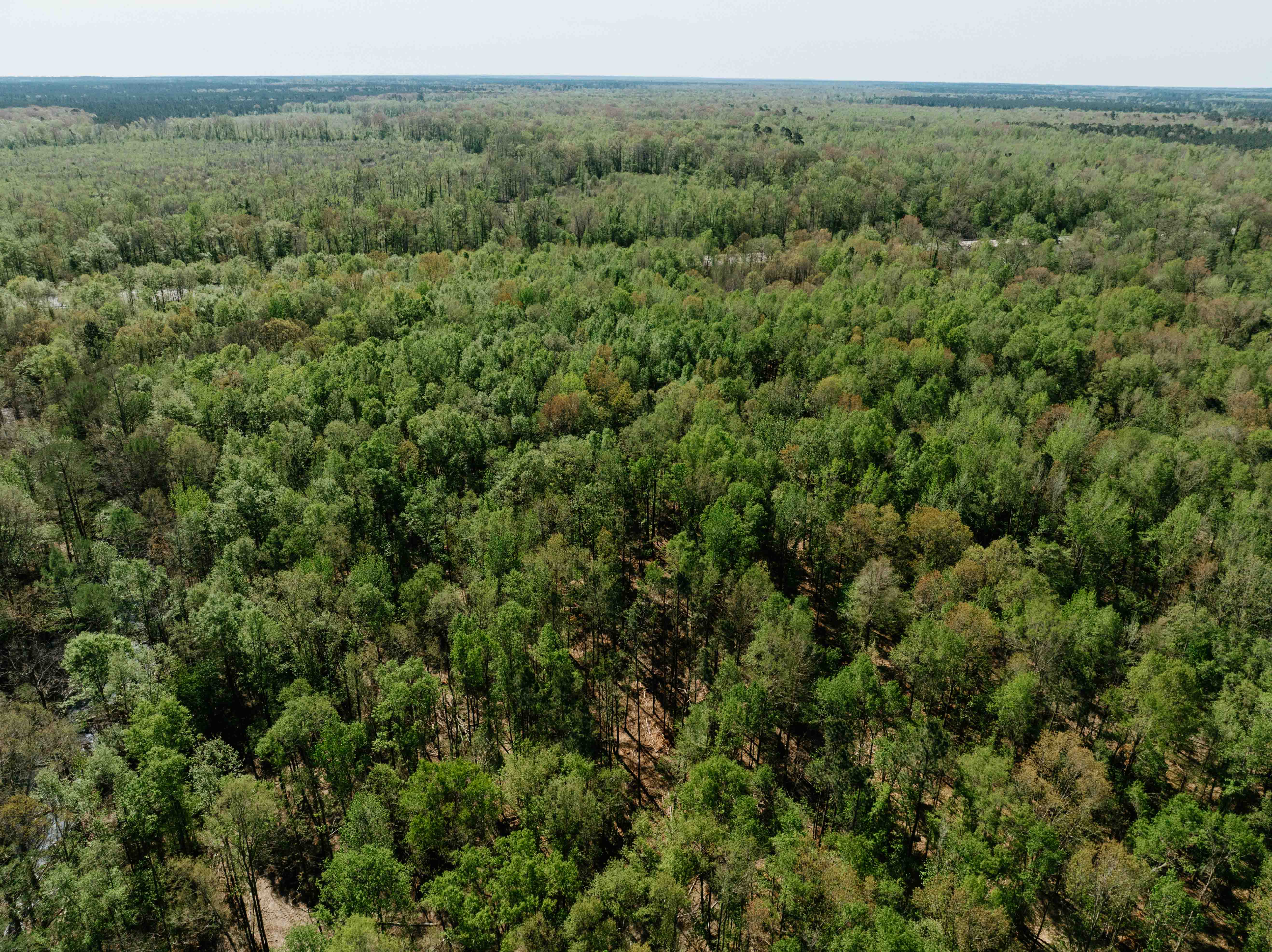 Fordyce, AR 71742 - image 9