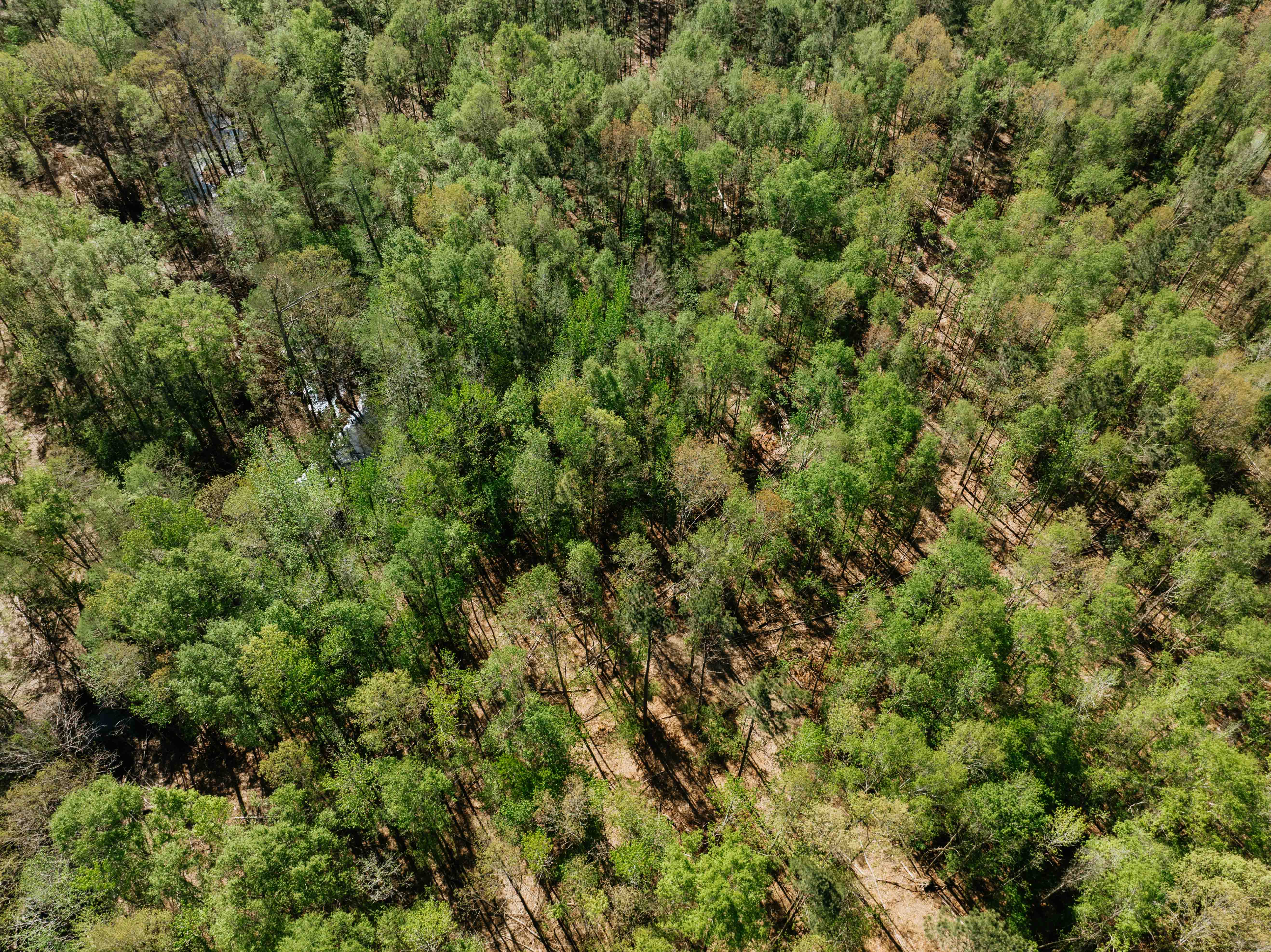 Fordyce, AR 71742 - image 11