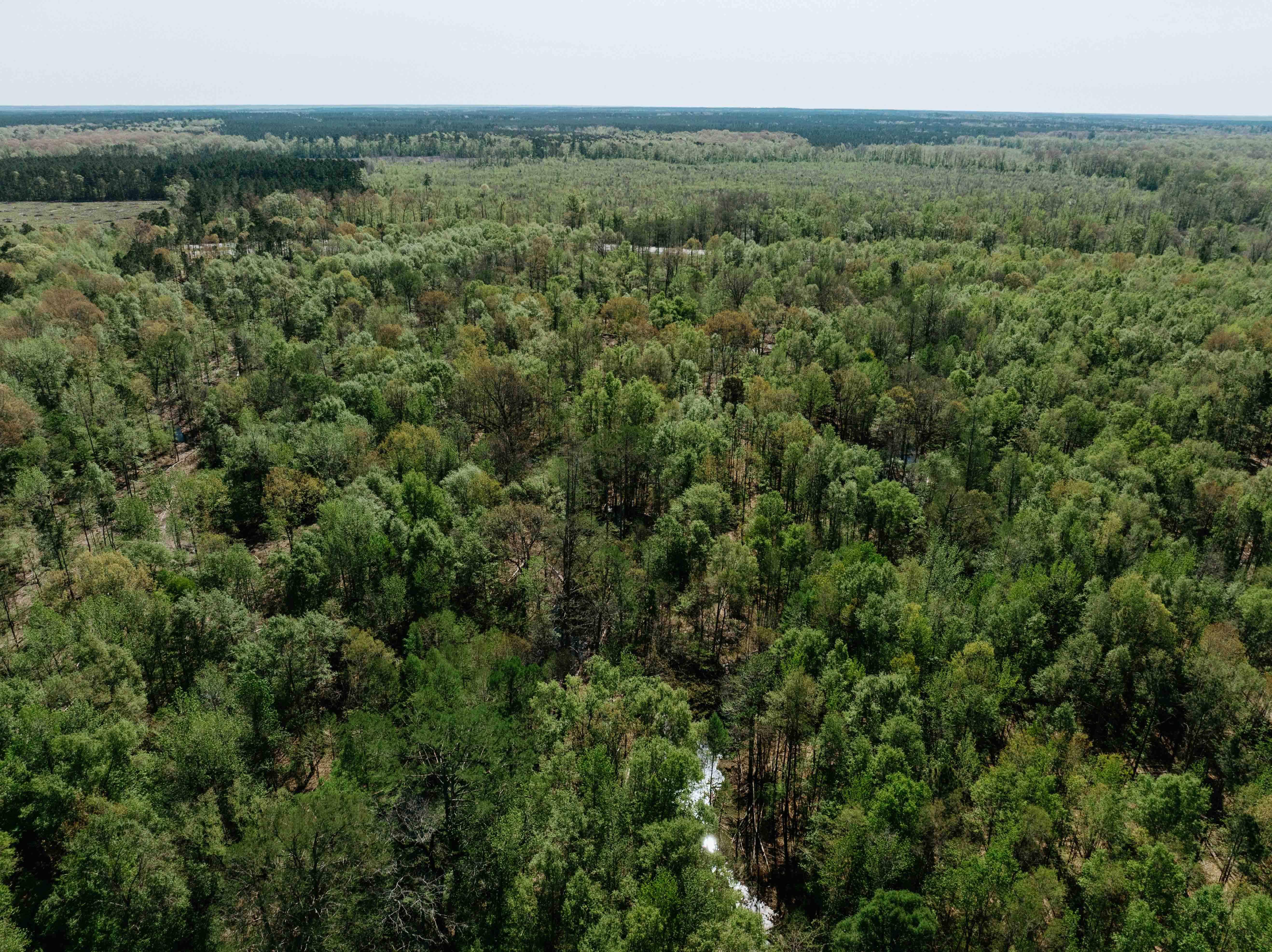 Fordyce, AR 71742 - image 10