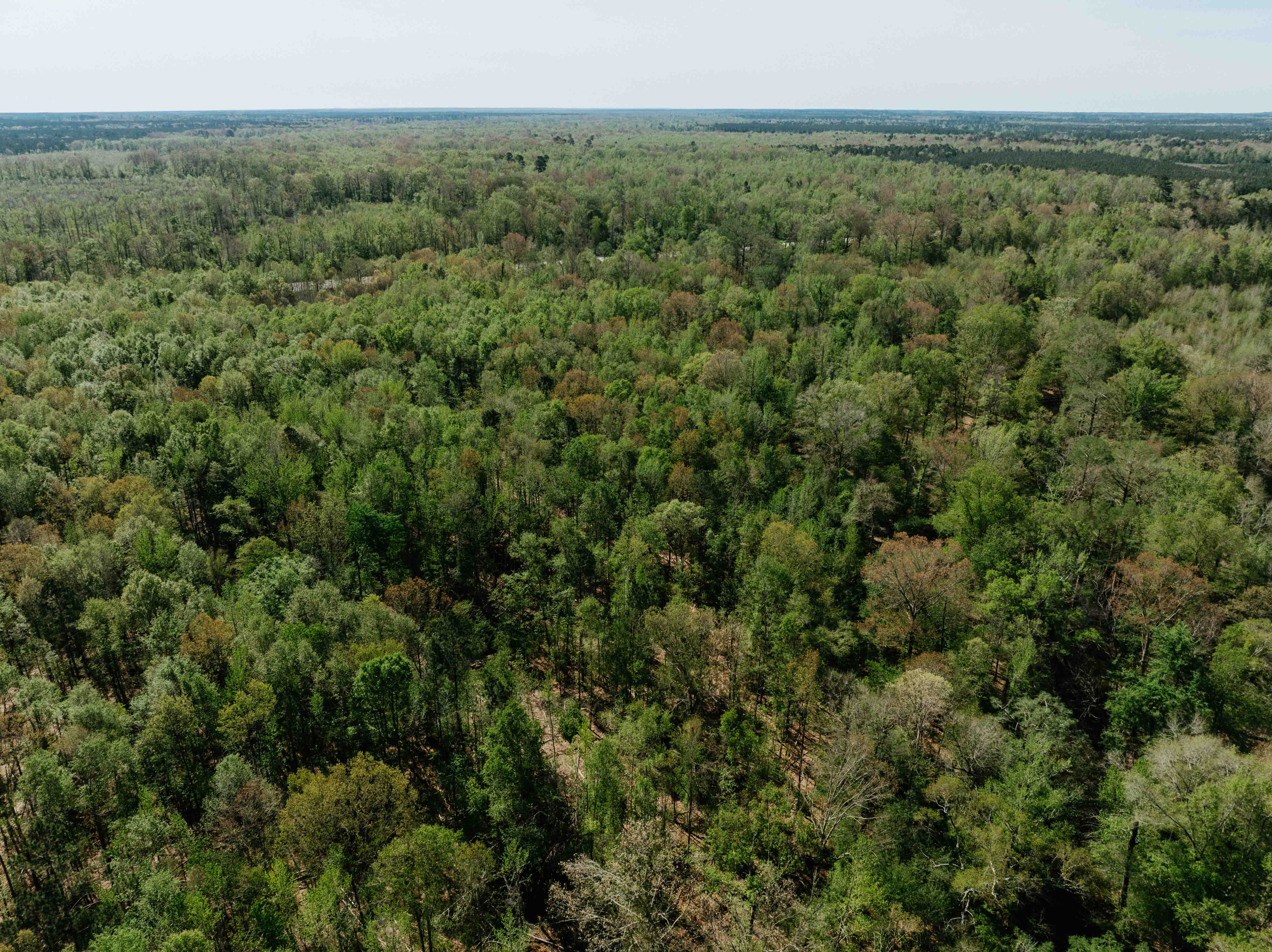 Fordyce, AR 71742 - image 12