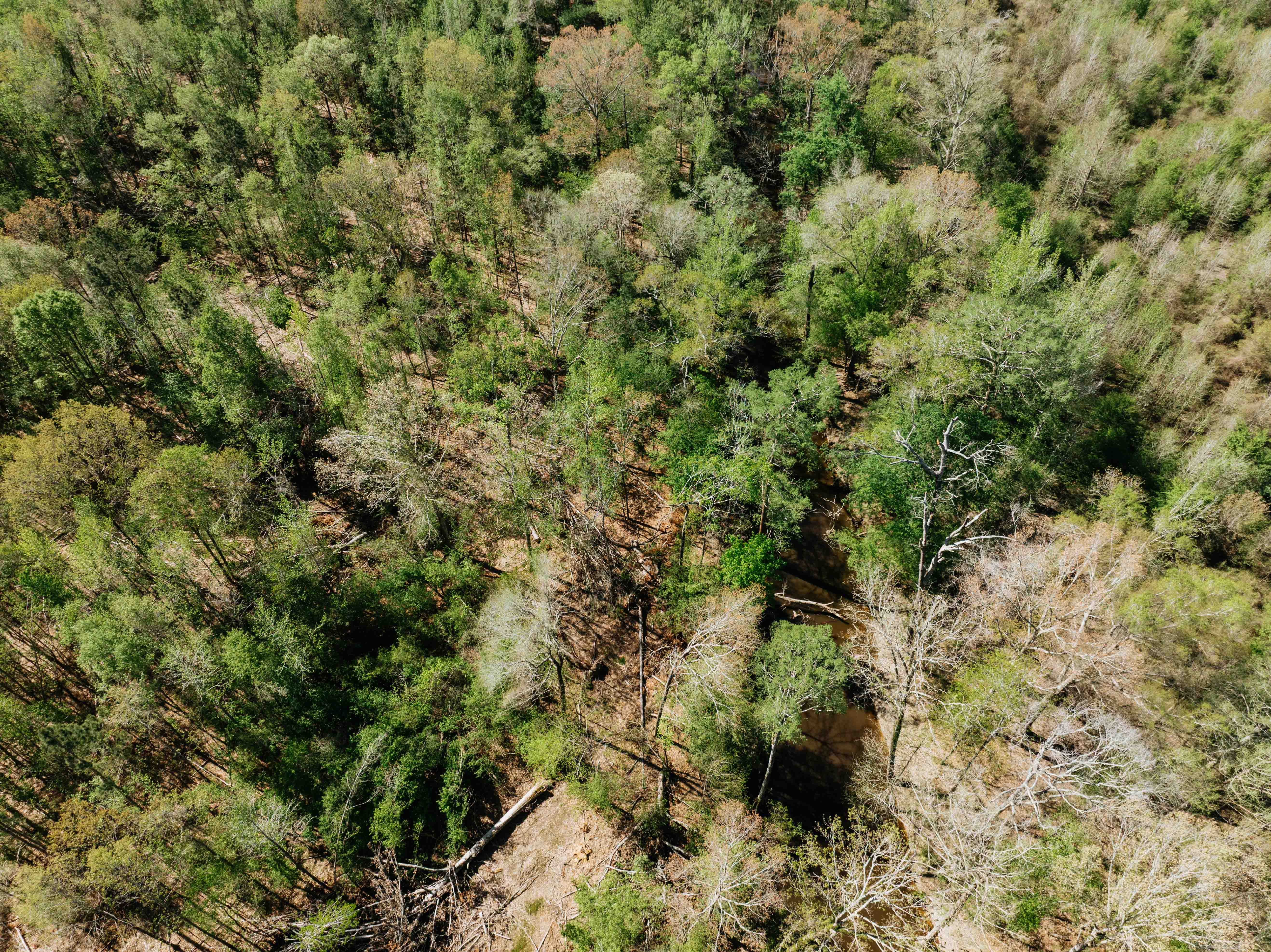 Fordyce, AR 71742 - image 8