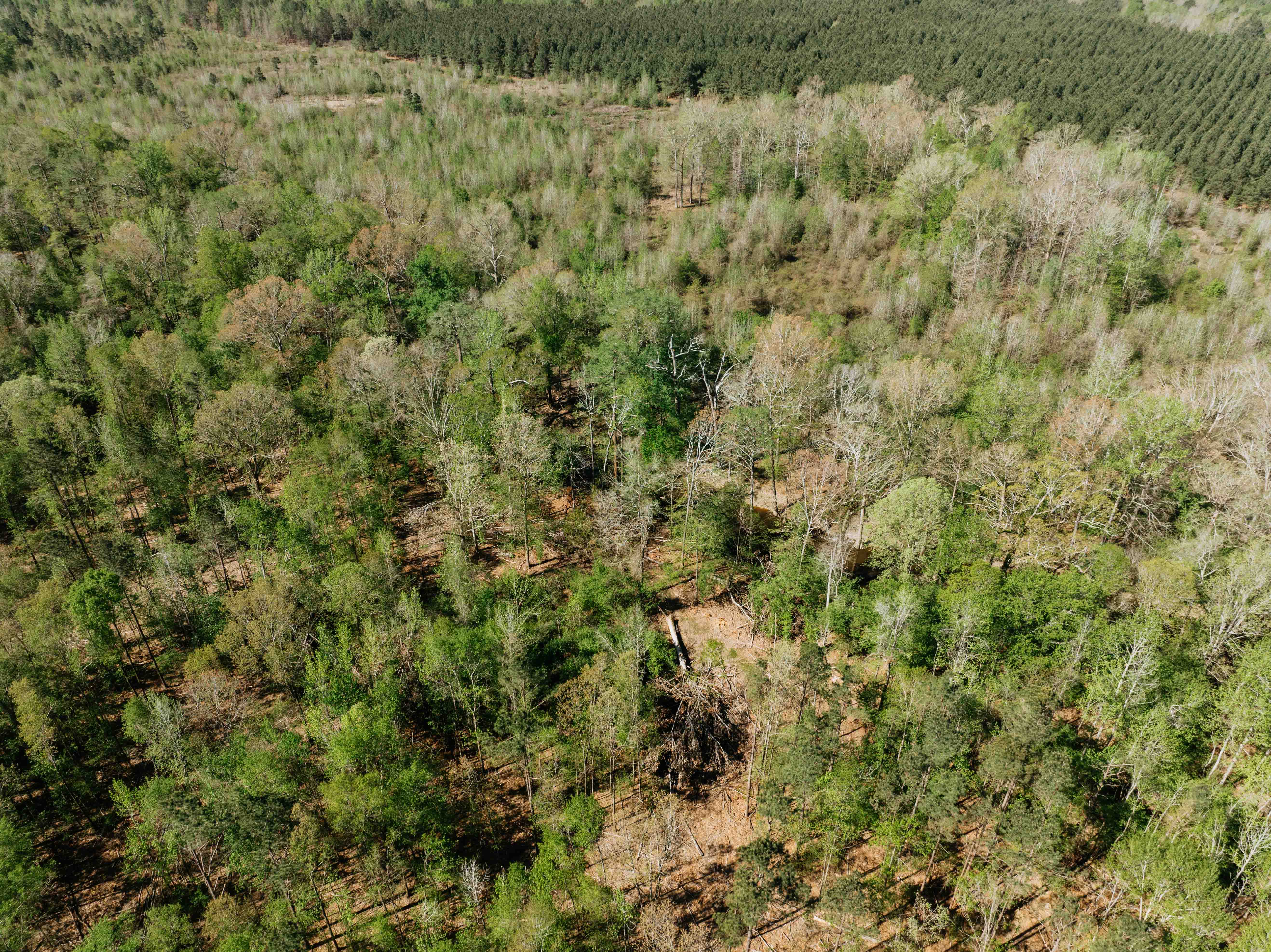 Fordyce, AR 71742 - image 7