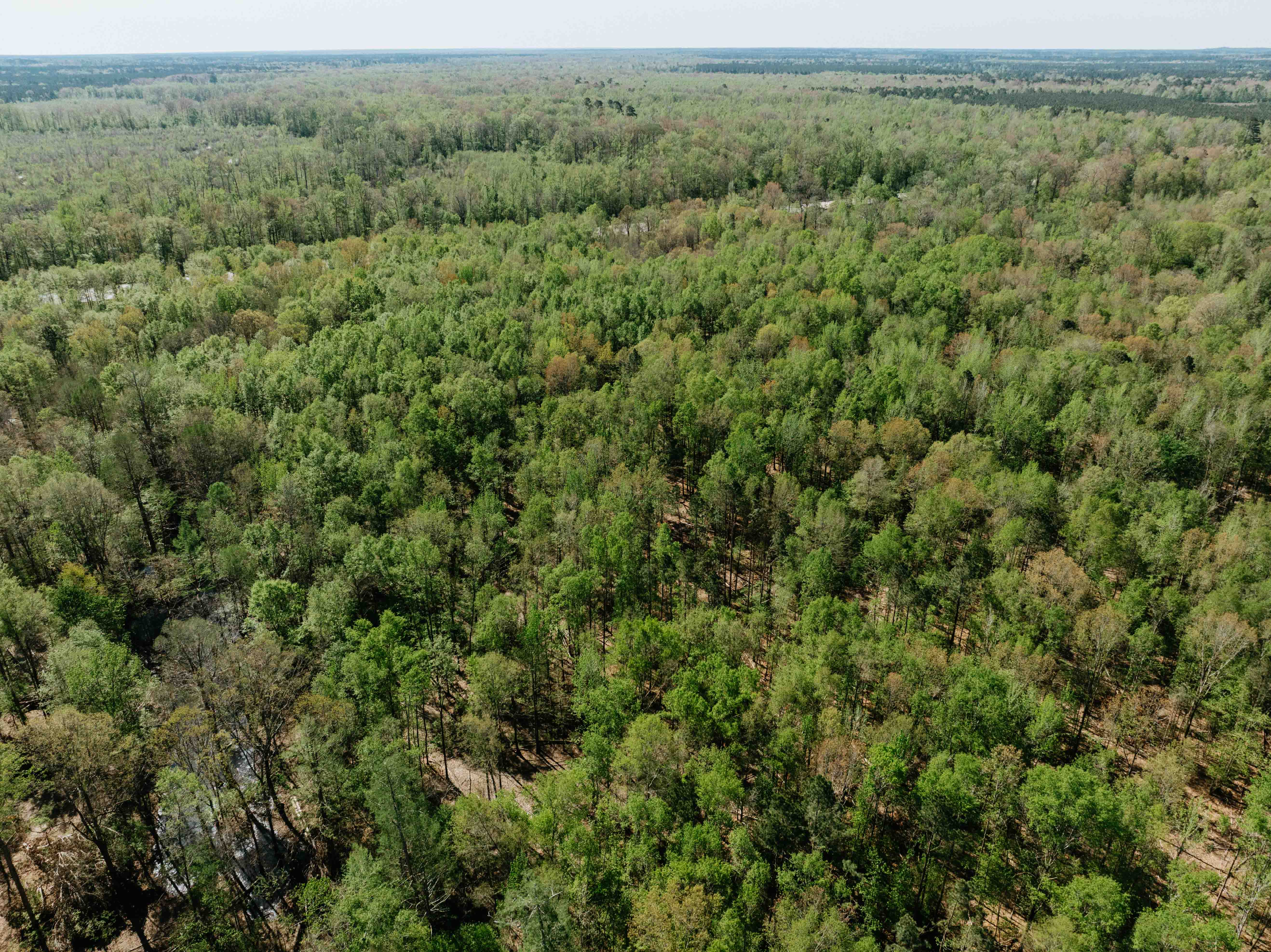 Fordyce, AR 71742 - image 6