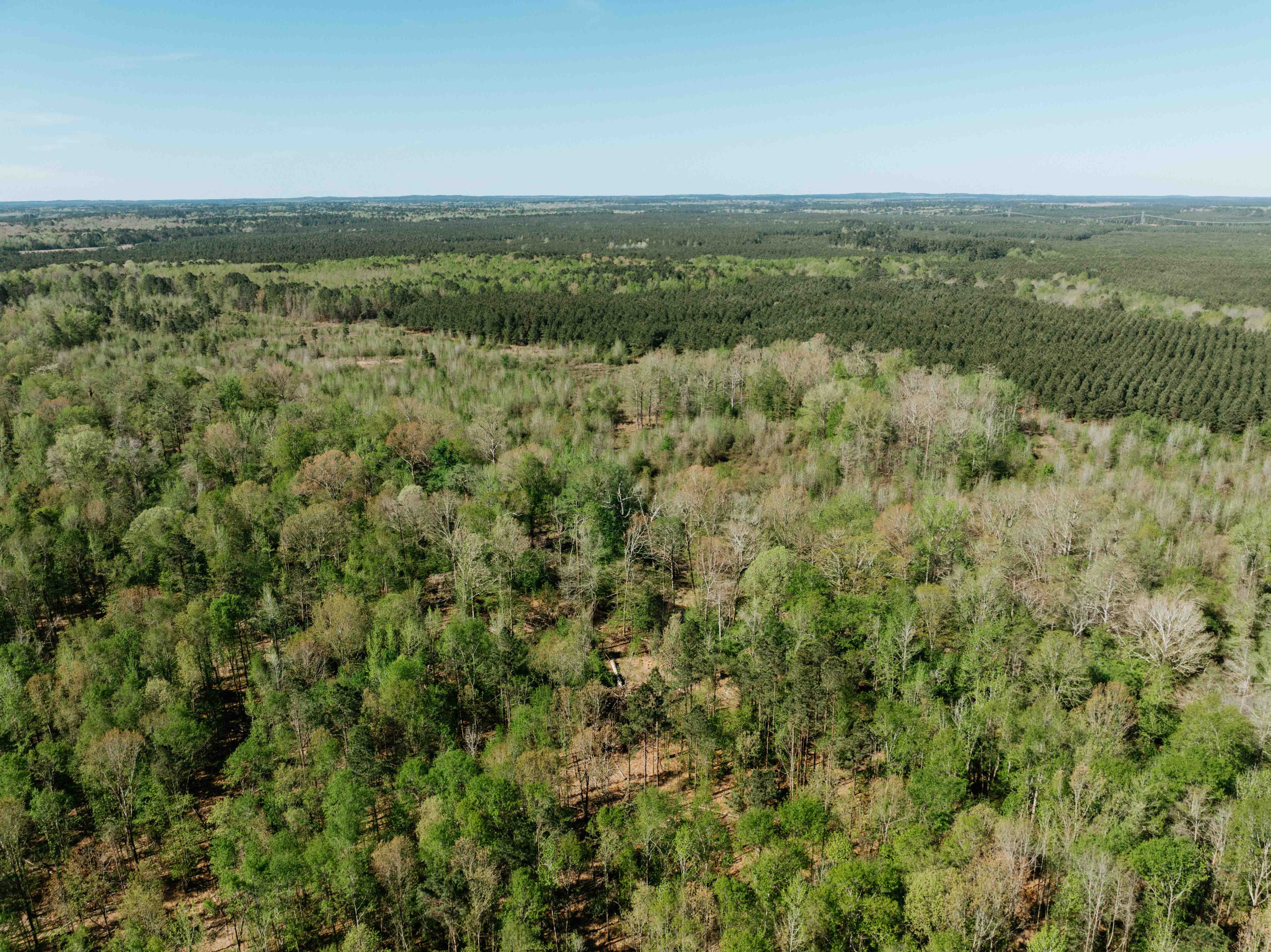 Fordyce, AR 71742 - image 5