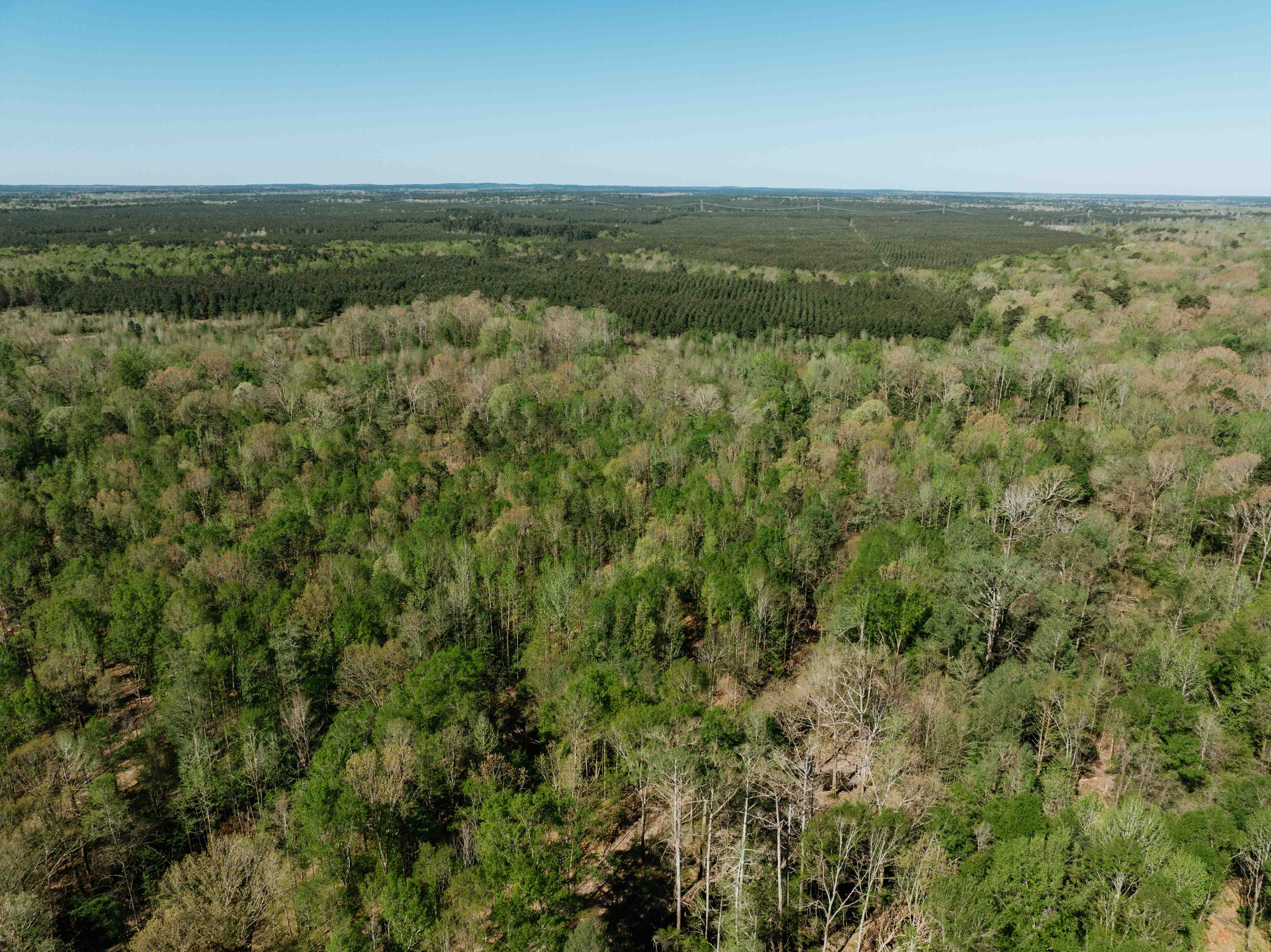 Fordyce, AR 71742 - image 4