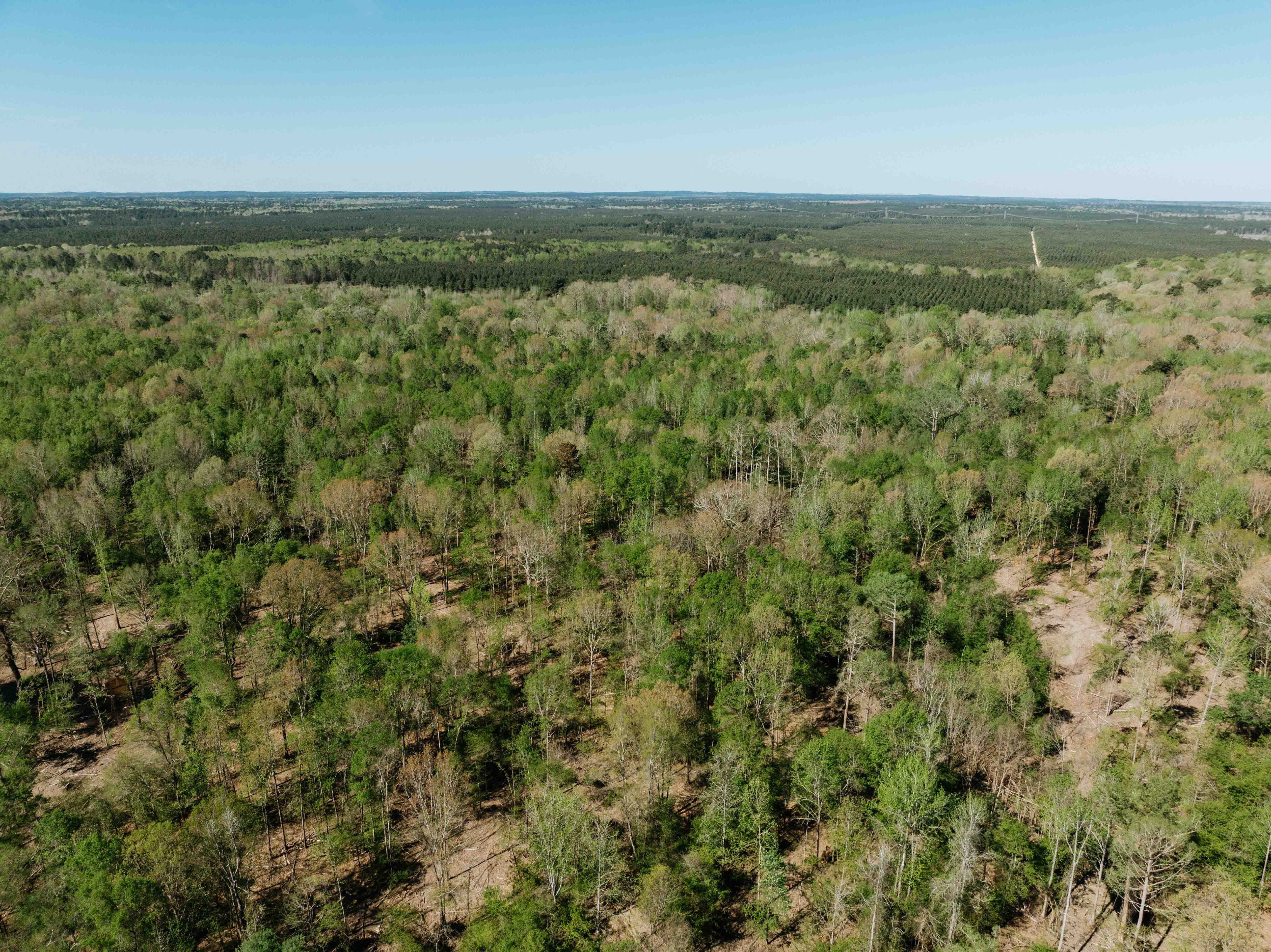 Fordyce, AR 71742 - image 3