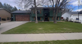 1329 BUCHFINCK , Alliance