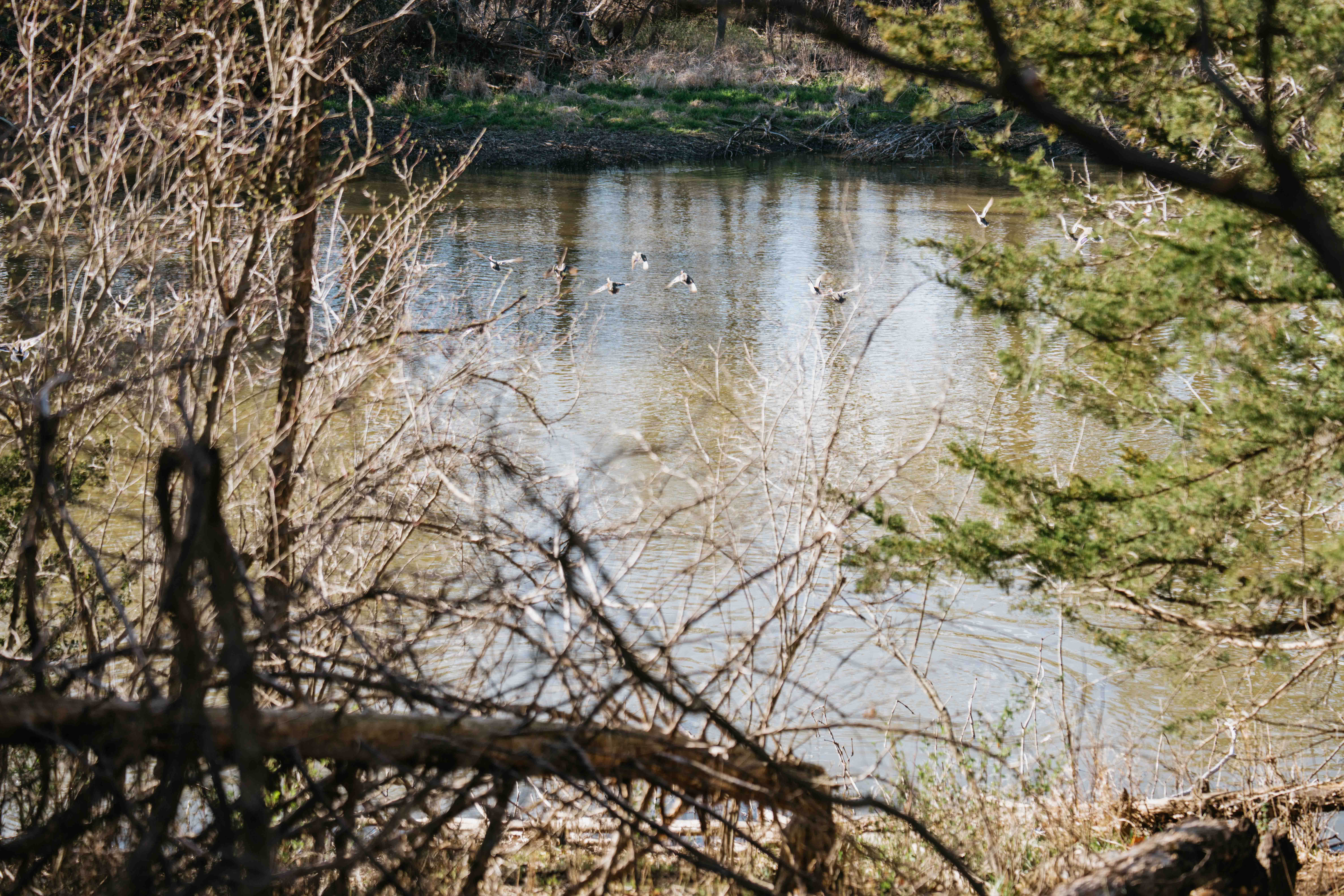 Louisville, NE 68037 - image 43