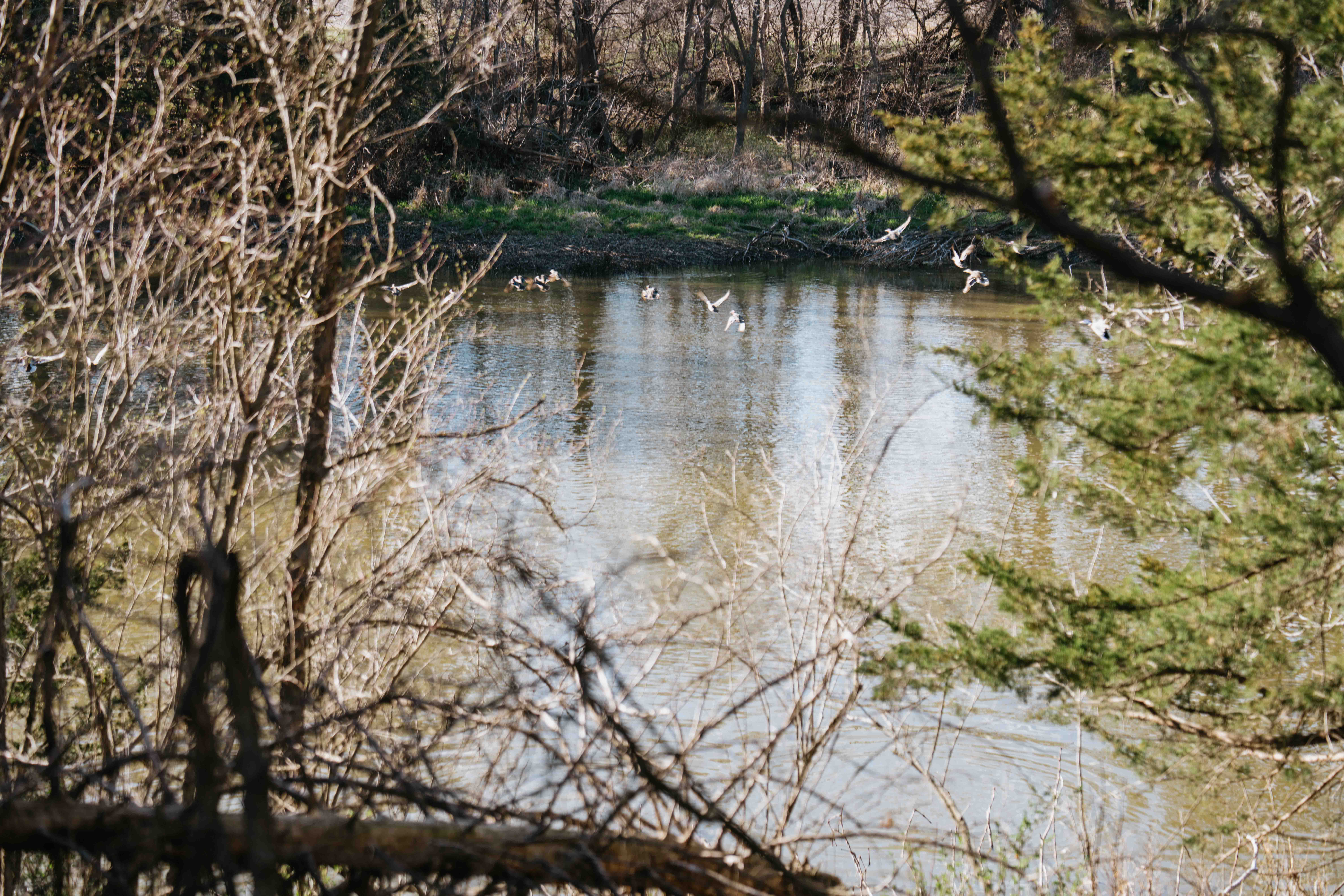 Louisville, NE 68037 - image 44