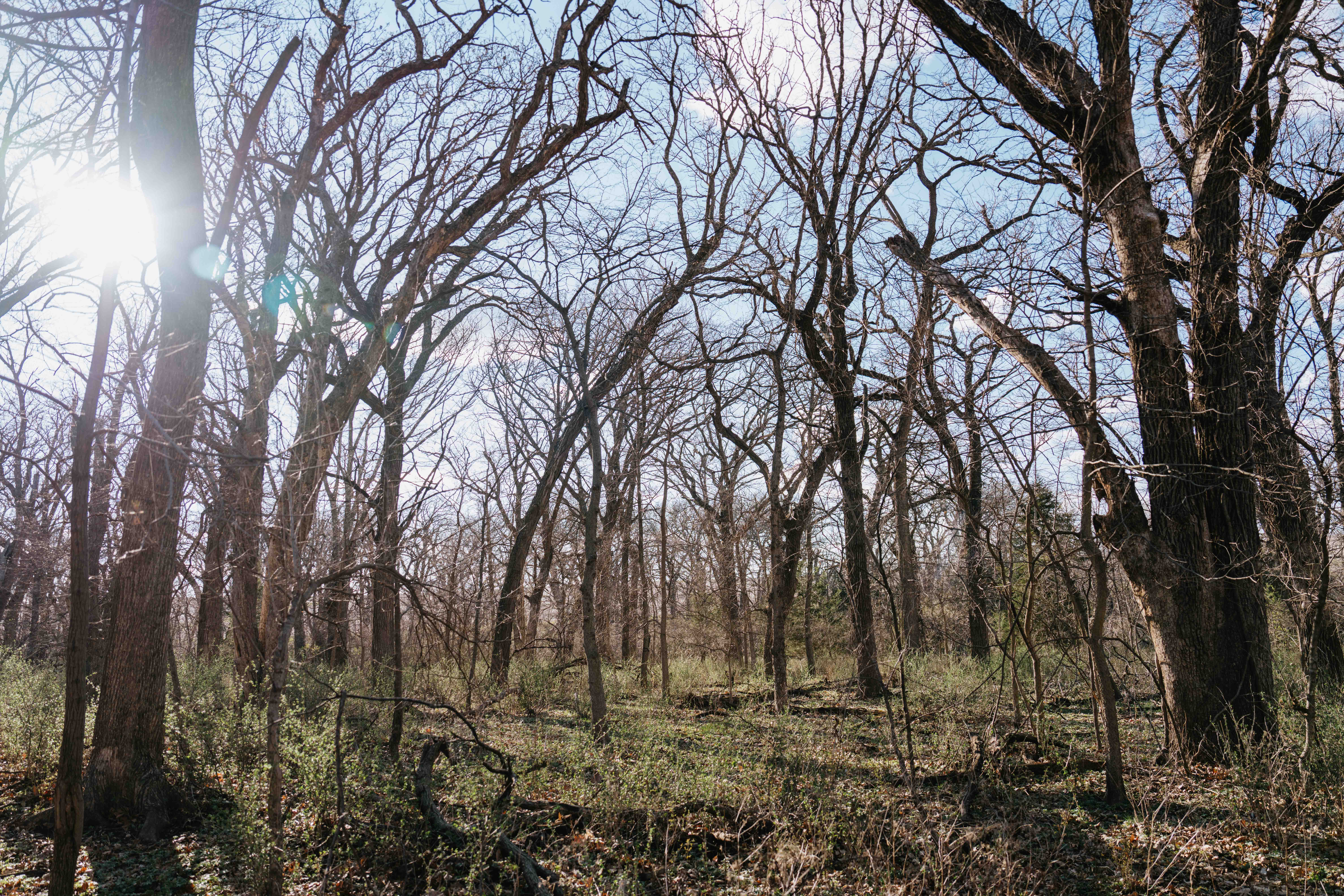 Louisville, NE 68037 - image 41