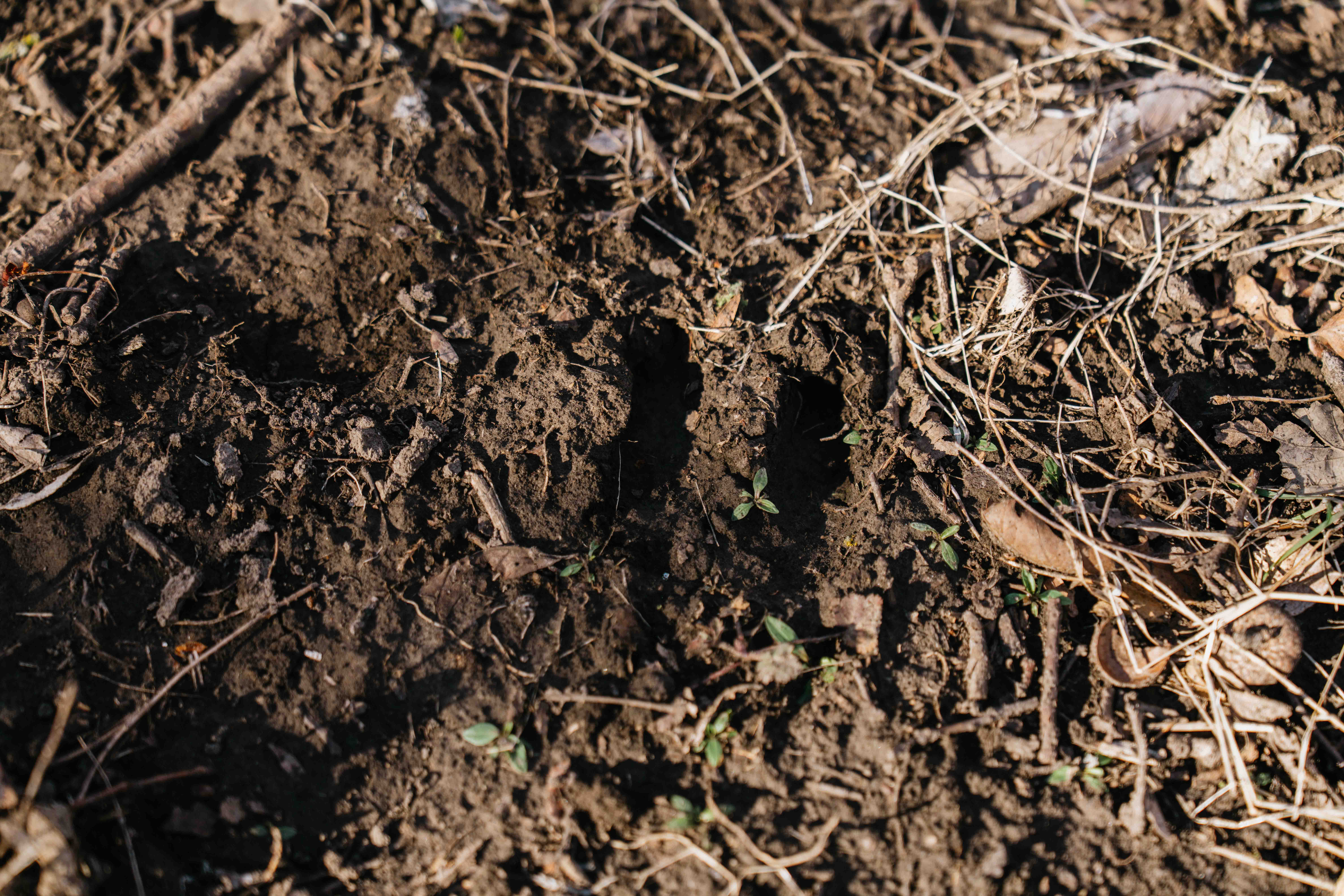 Louisville, NE 68037 - image 40