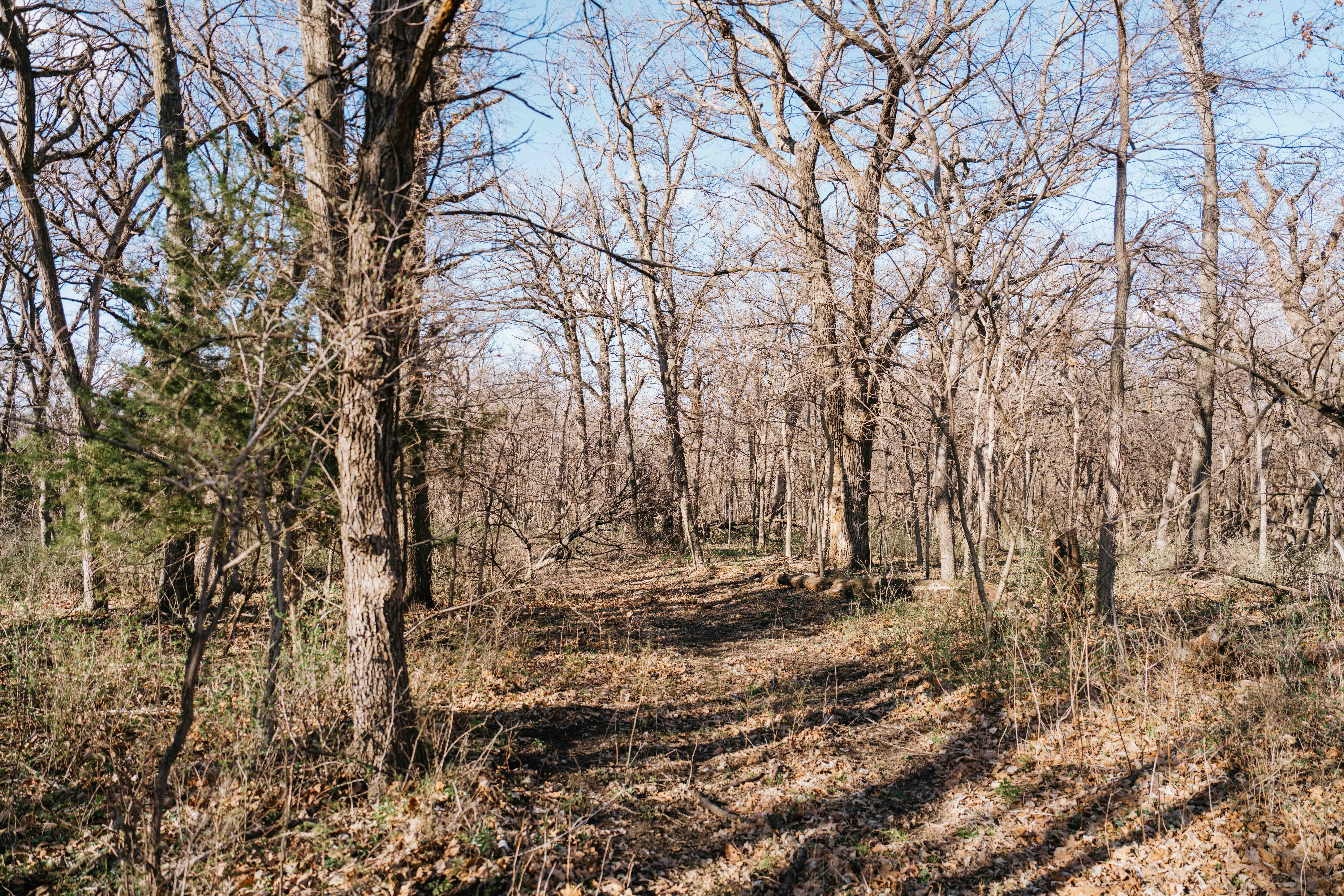 Louisville, NE 68037 - image 39