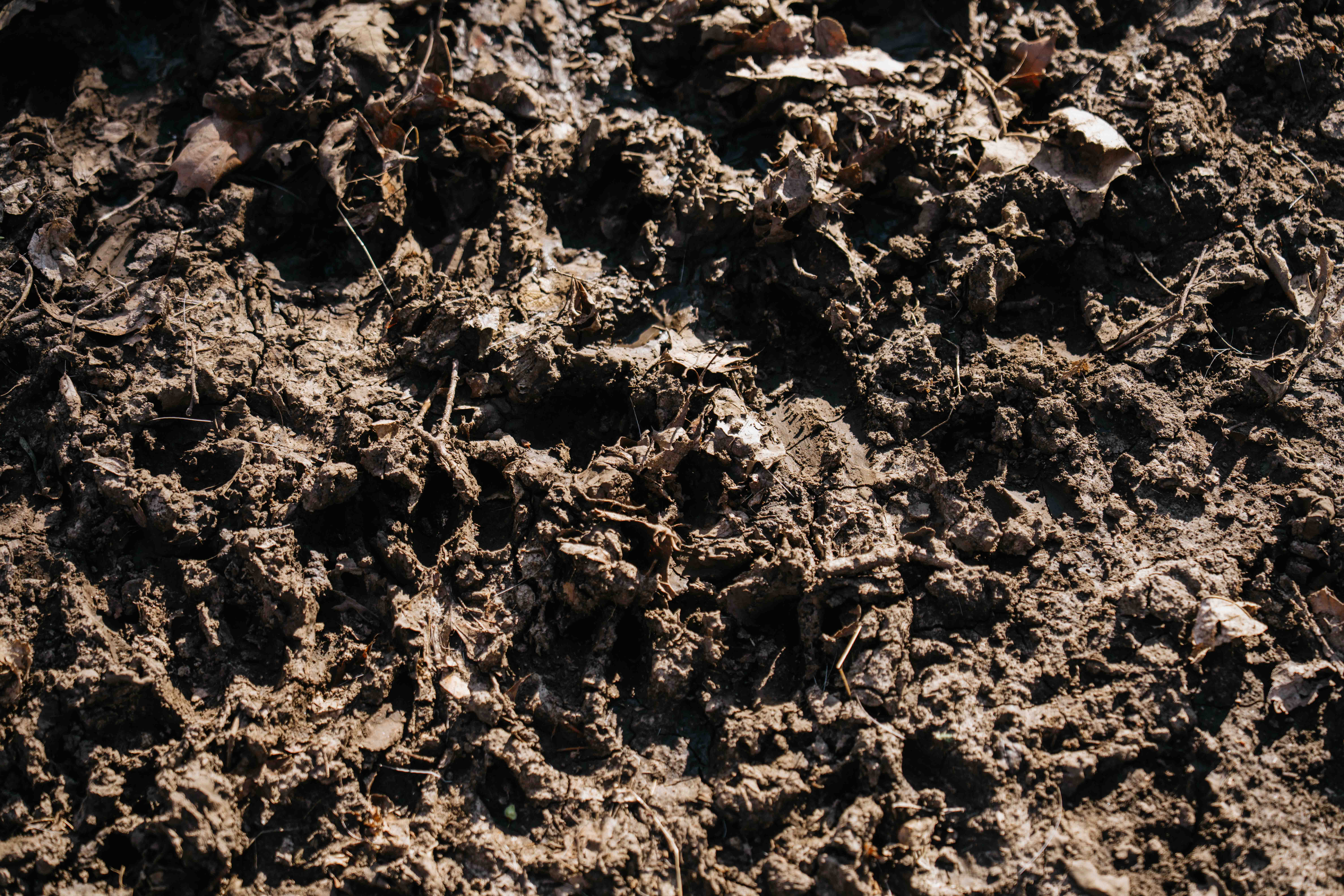 Louisville, NE 68037 - image 37