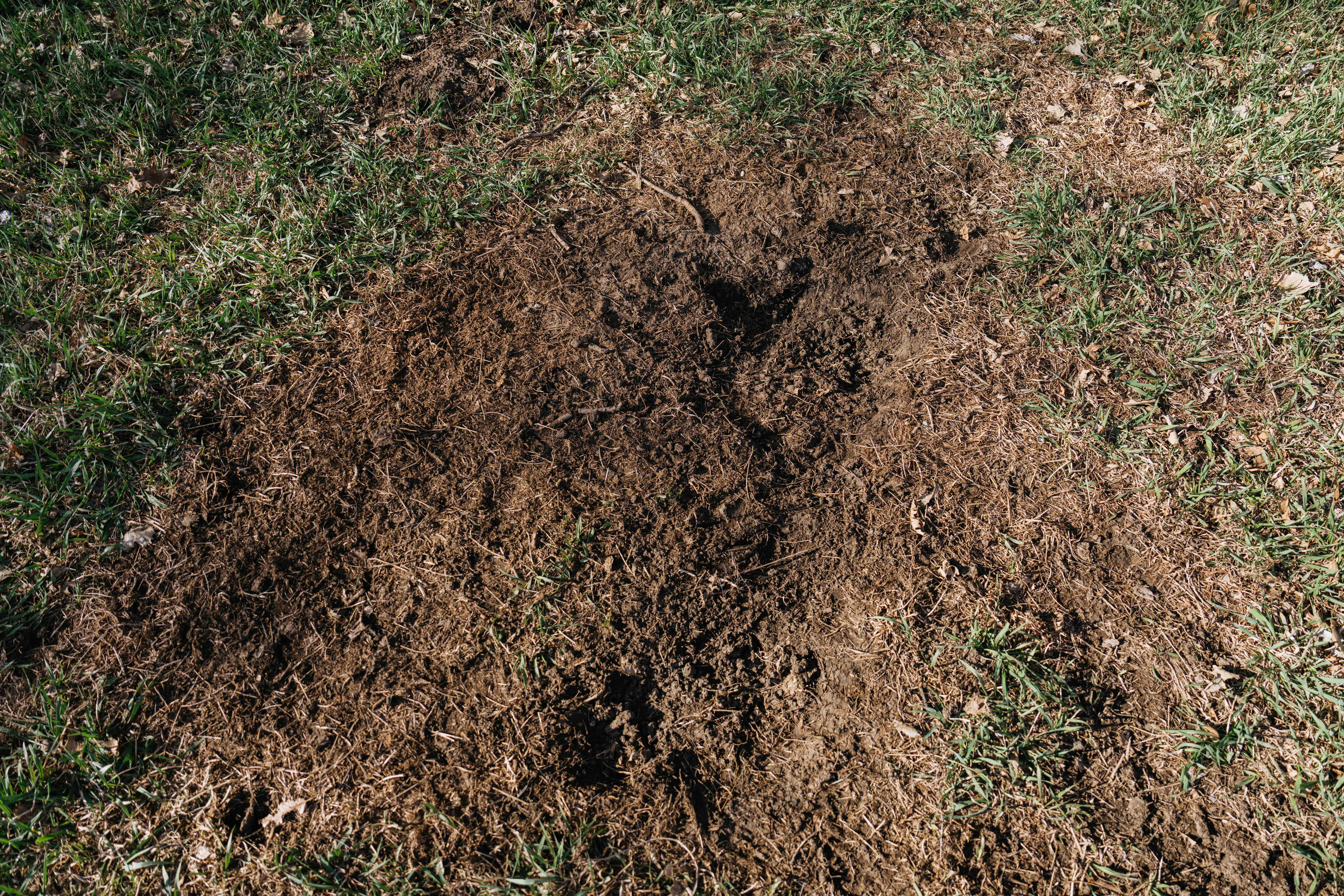 Louisville, NE 68037 - image 35