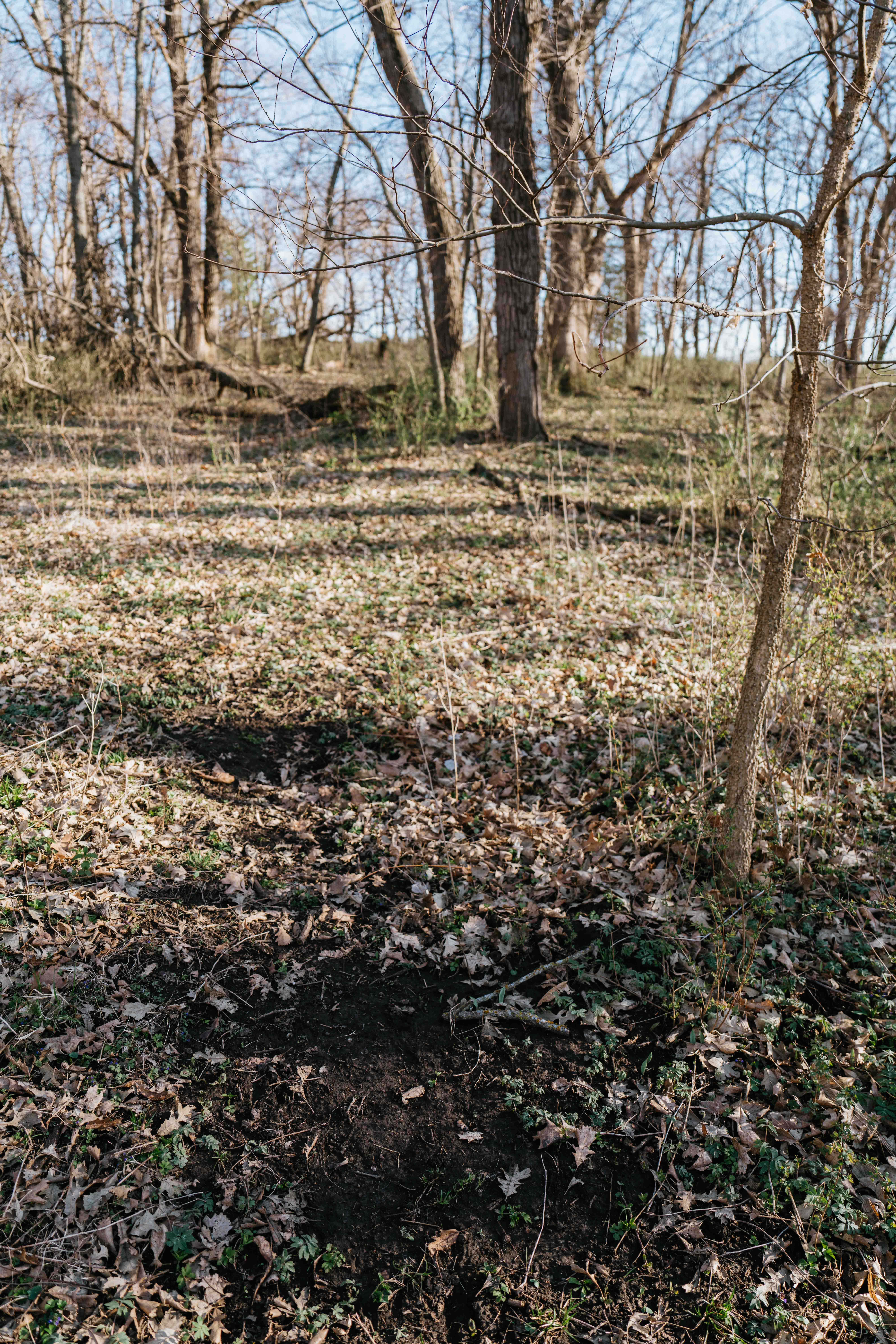 Louisville, NE 68037 - image 50