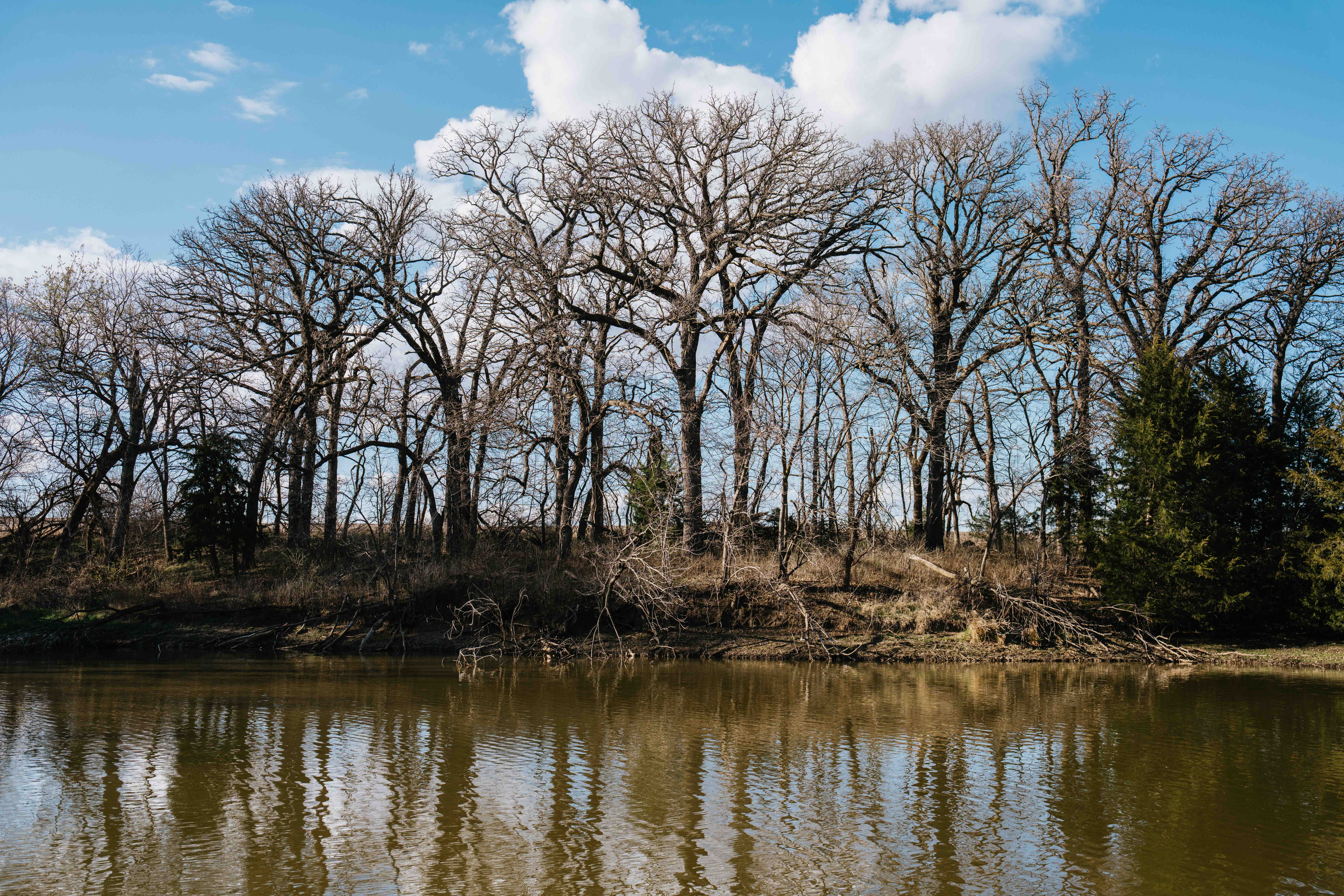 Louisville, NE 68037 - image 49