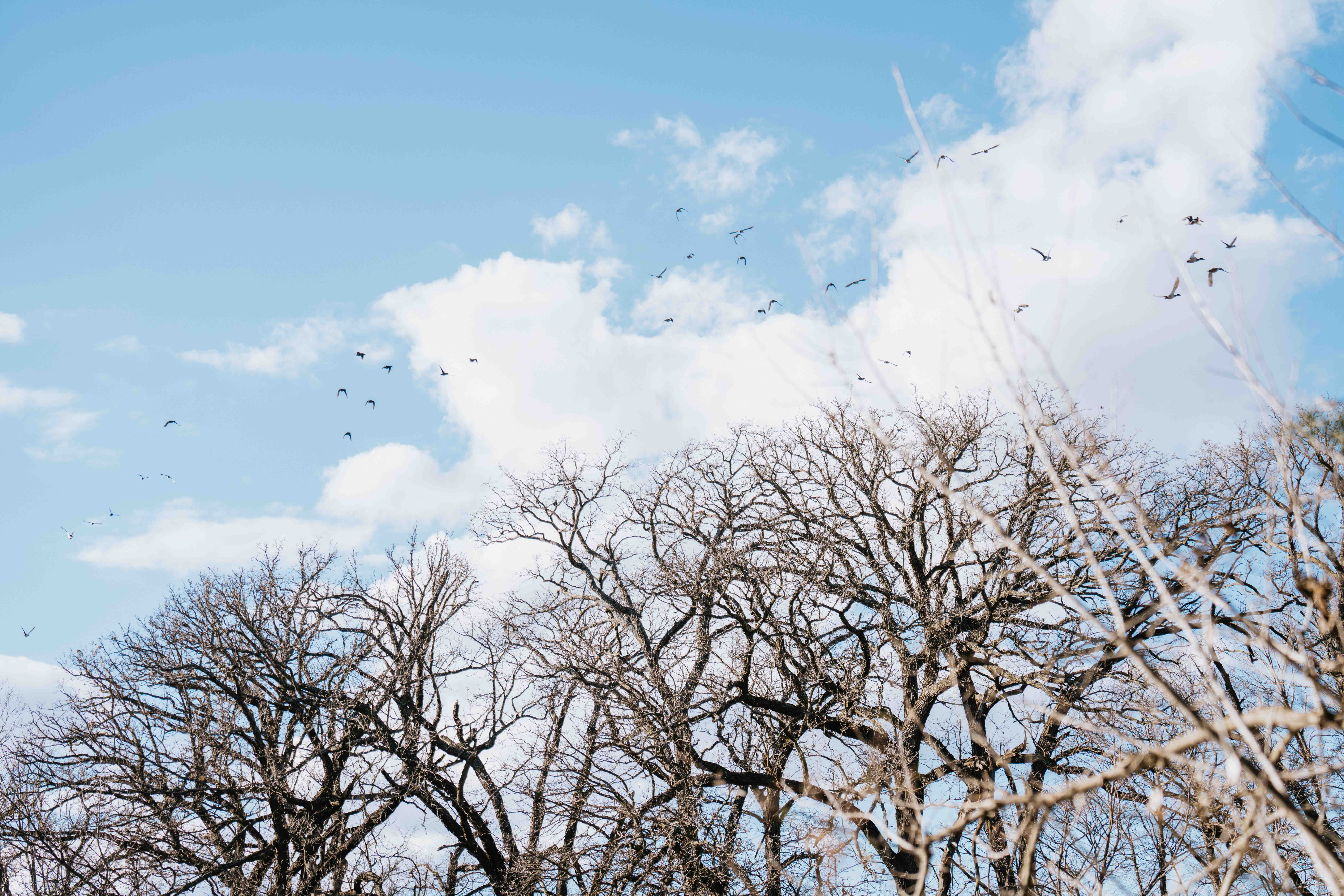 Louisville, NE 68037 - image 46