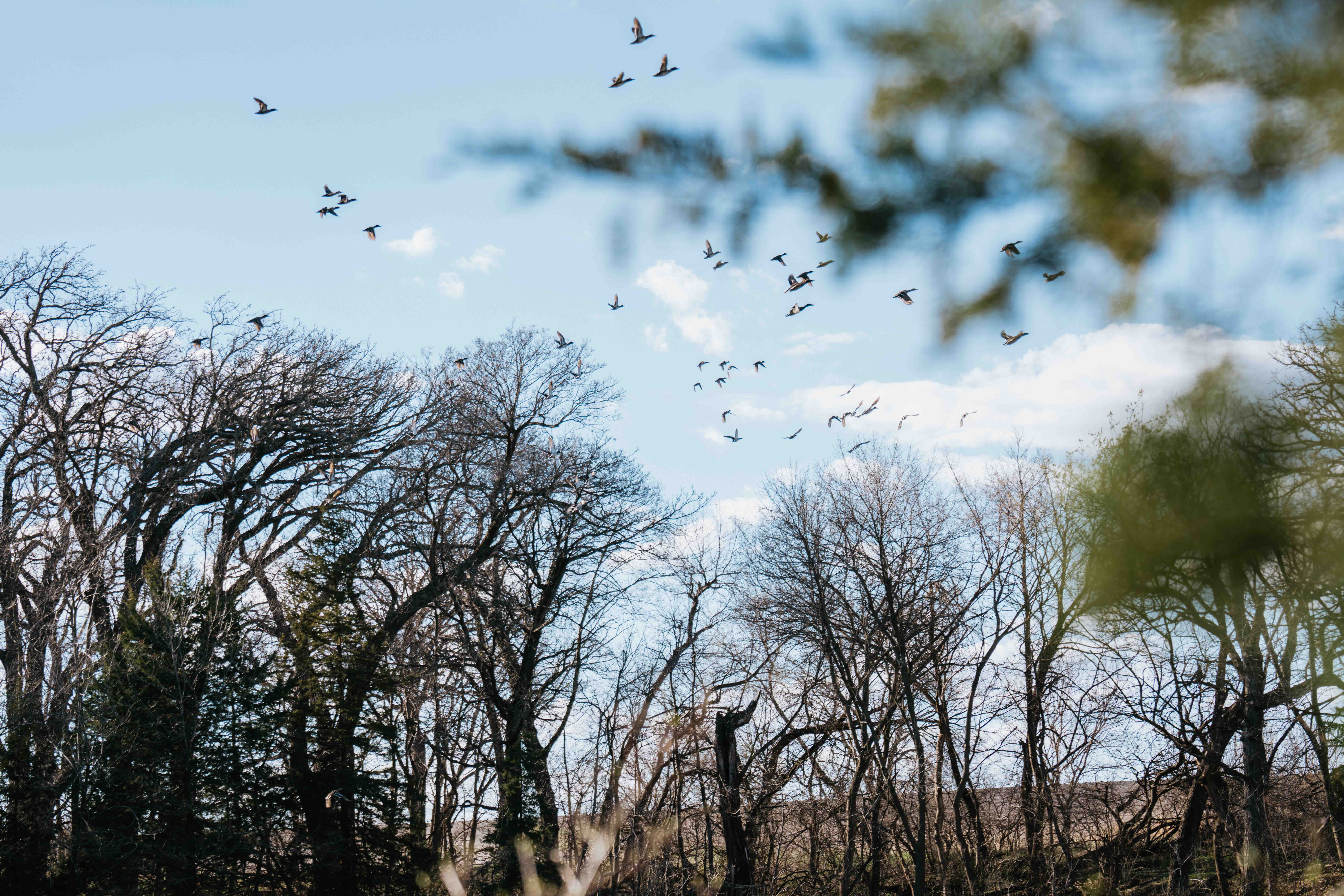 Louisville, NE 68037 - image 45