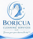 Boricua Cleaning Services LLC