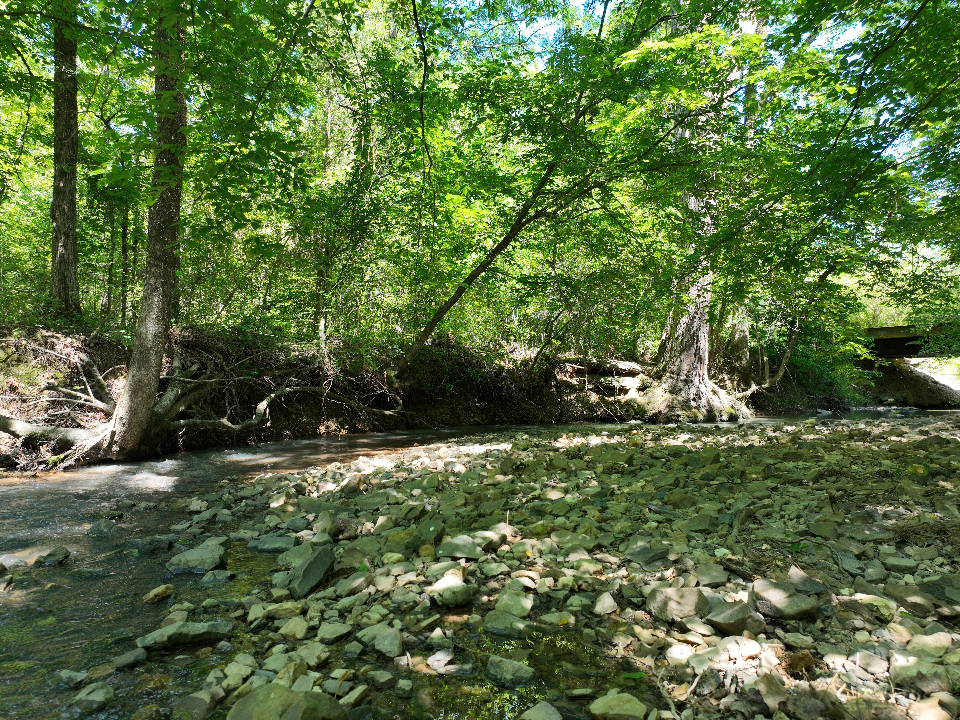 Point Cedar, AR 71921 - image 25