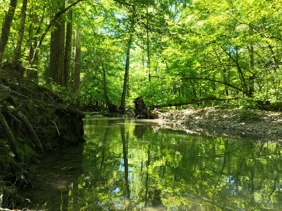 Point Cedar, AR 71921 - image 23