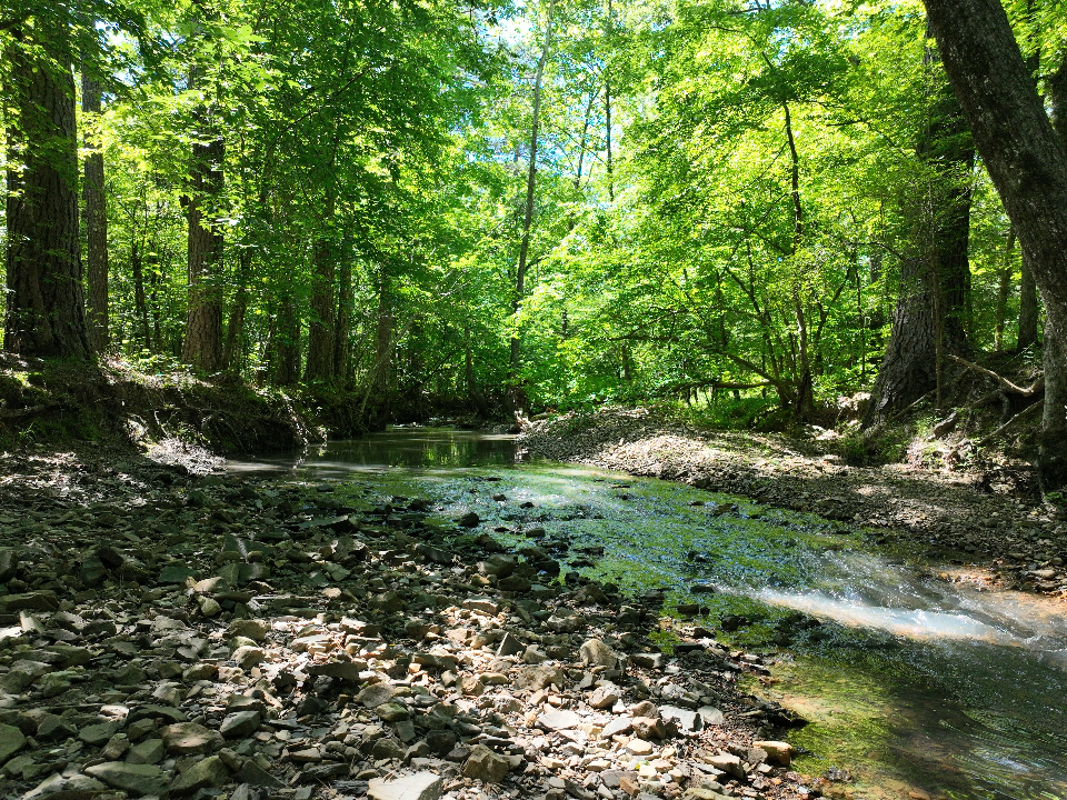 Point Cedar, AR 71921 - image 22