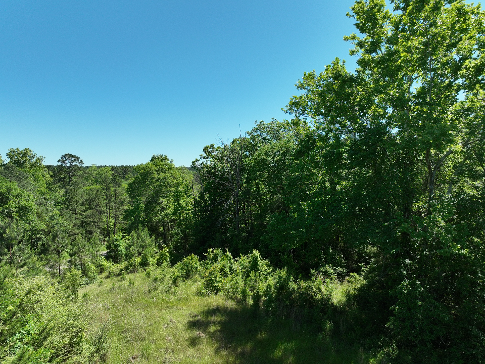Point Cedar, AR 71921 - image 16