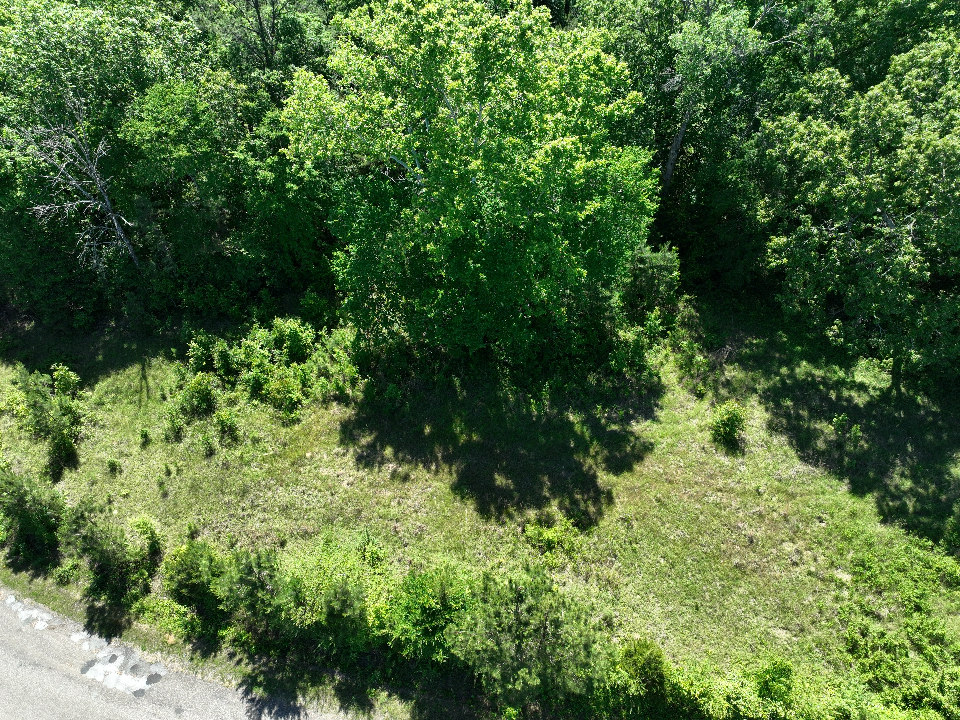 Point Cedar, AR 71921 - image 15