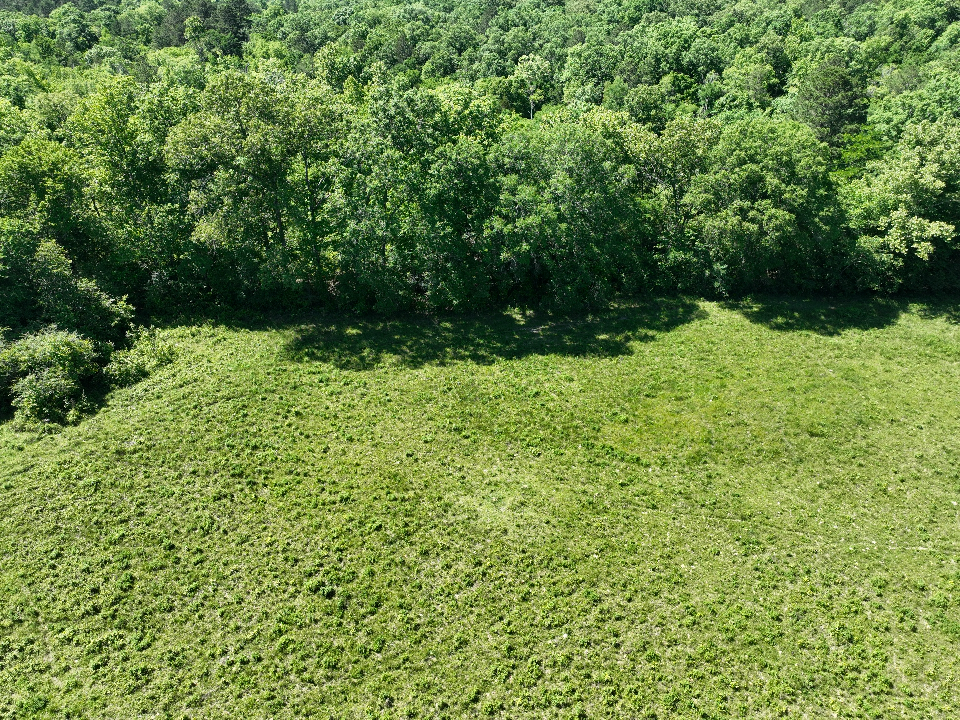 Point Cedar, AR 71921 - image 14