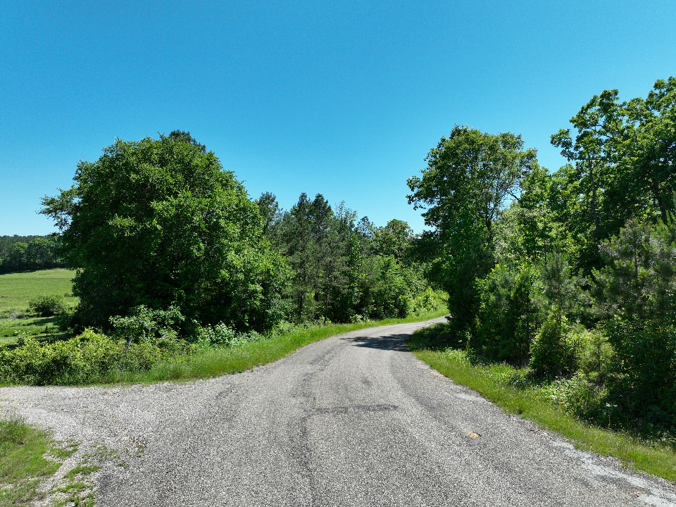 Point Cedar, AR 71921 - image 11