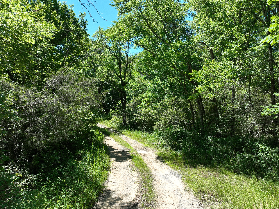 Point Cedar, AR 71921 - image 18