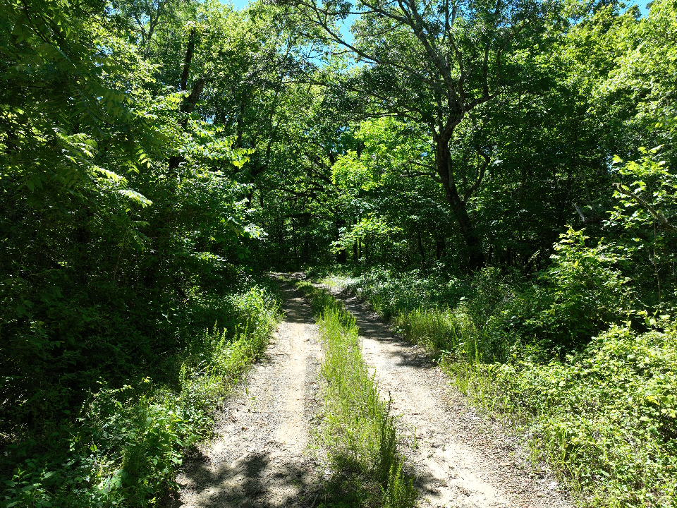 Point Cedar, AR 71921 - image 17
