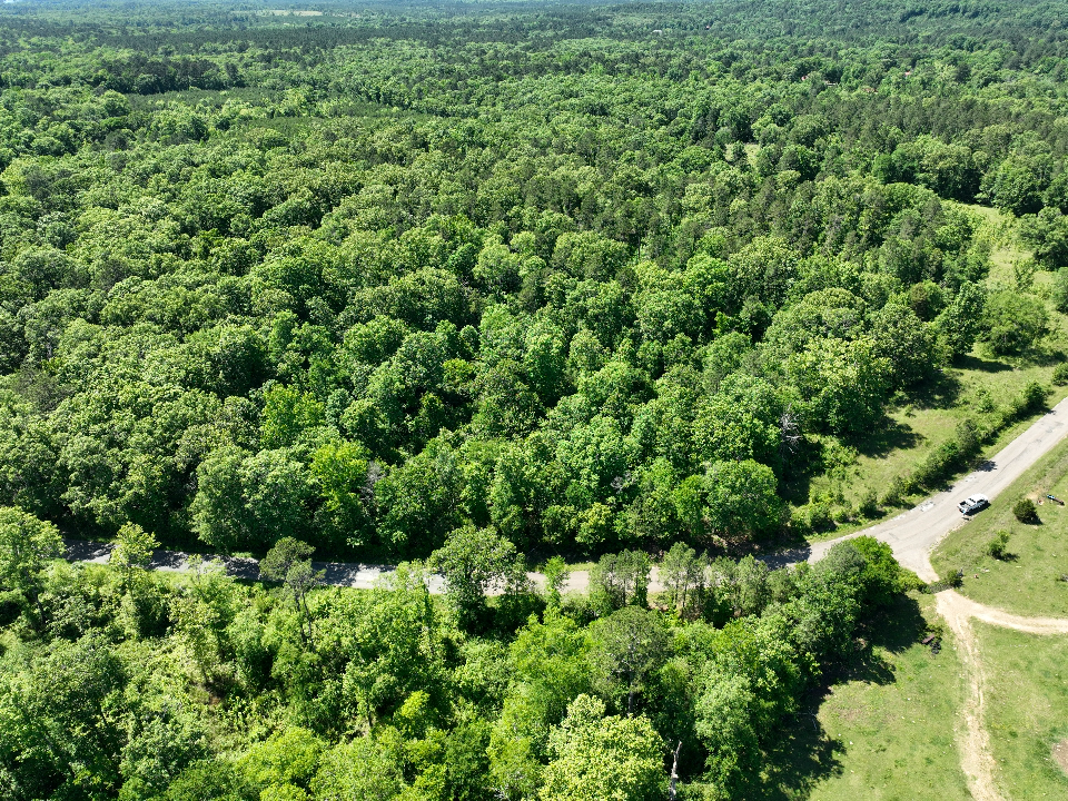 Point Cedar, AR 71921 - image 10