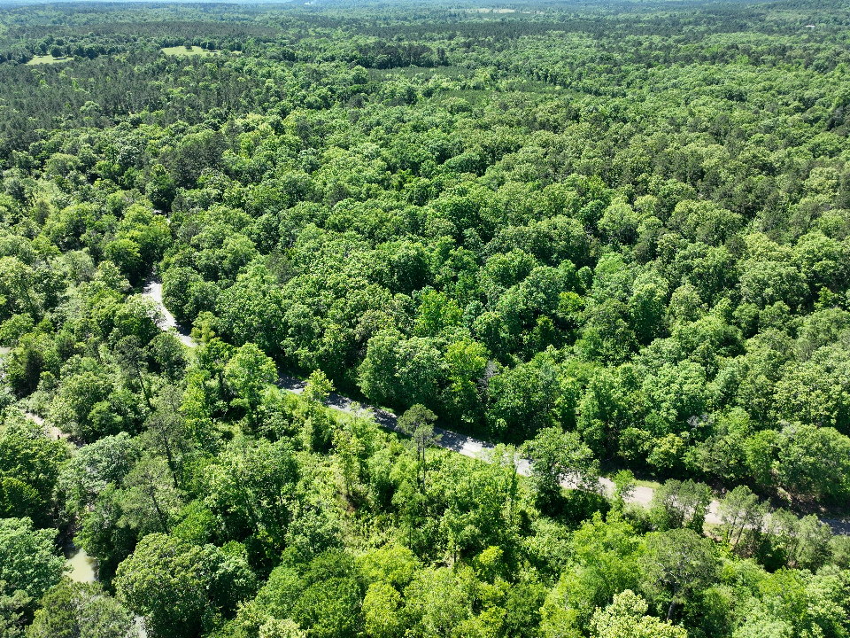 Point Cedar, AR 71921 - image 9