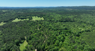 Point Cedar, AR 71921
