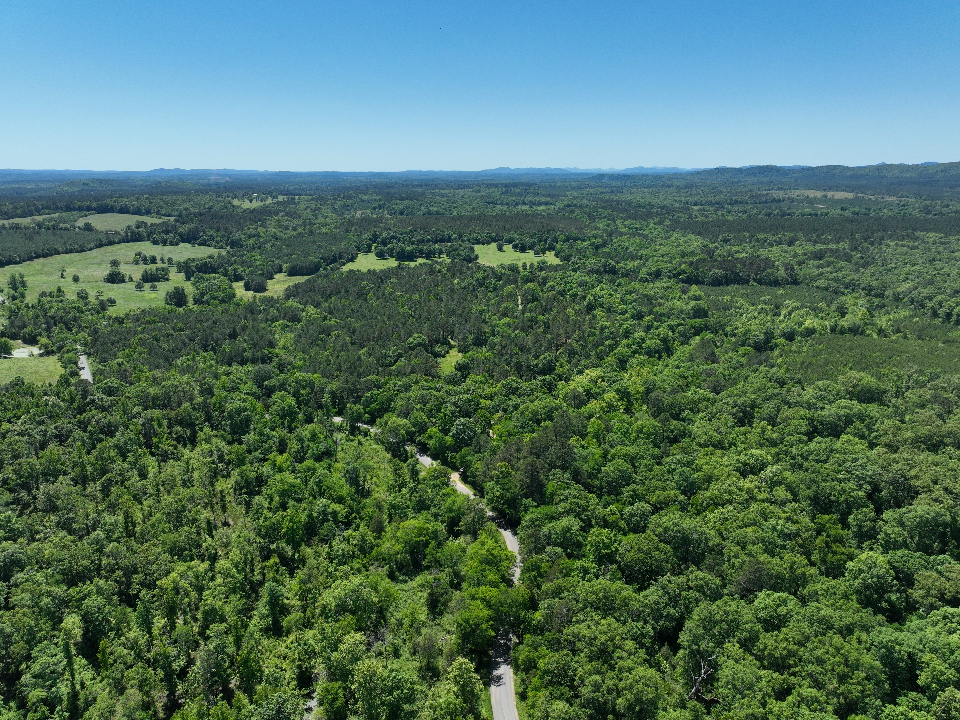 Point Cedar, AR 71921 - image 6