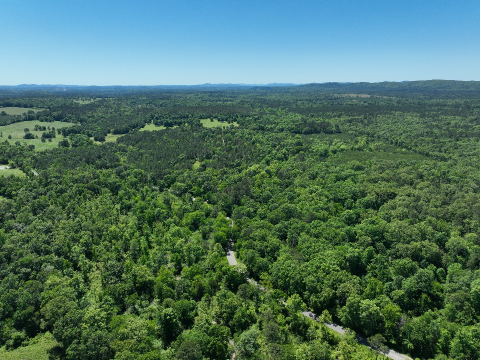 Point Cedar, AR 71921 - image 5