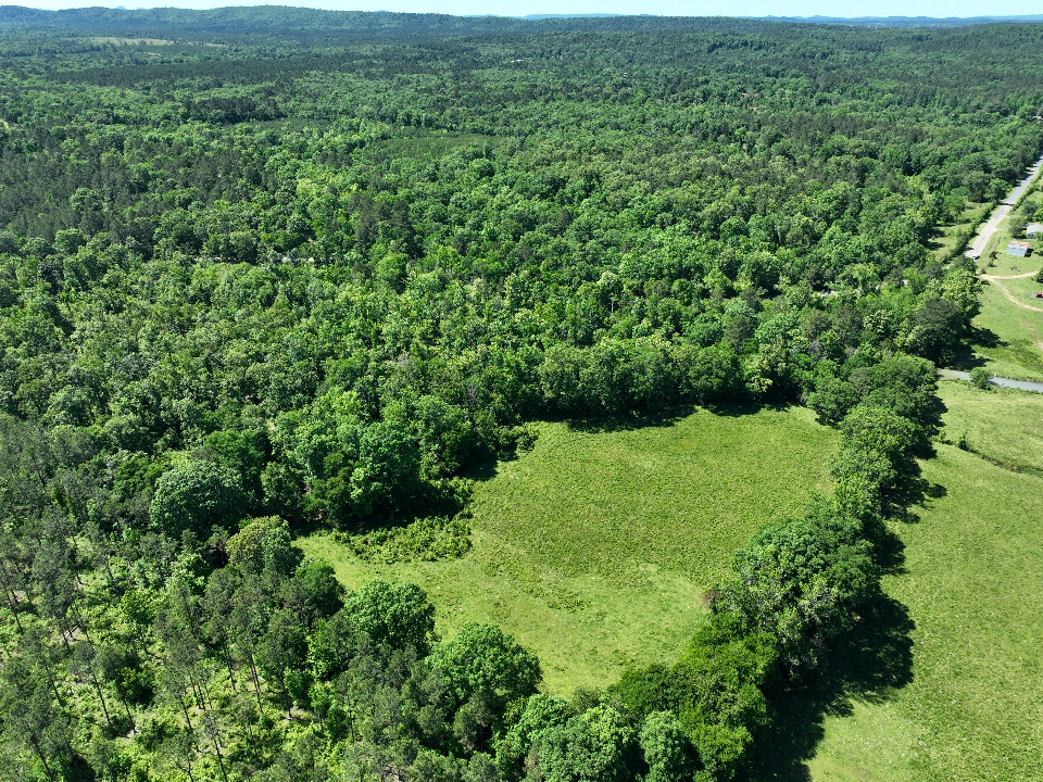 Point Cedar, AR 71921 - image 4
