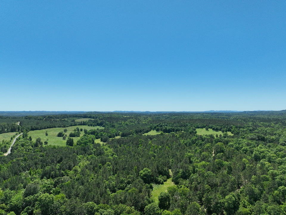 Point Cedar, AR 71921 - image 2