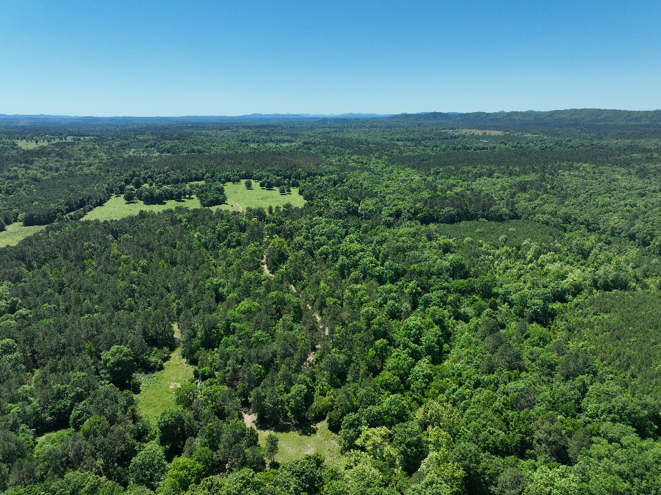 Point Cedar, AR 71921 - image 7